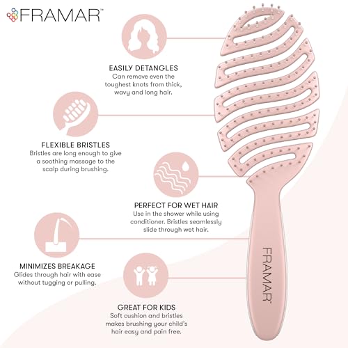 FRAMAR Vented Hair Brush For Thick Hair,Wet Hair Brushes For Women, Flex Wet Hair Brush Detangler, Hairbrush For Women, Hair Brush For Blow Drying - Image 2