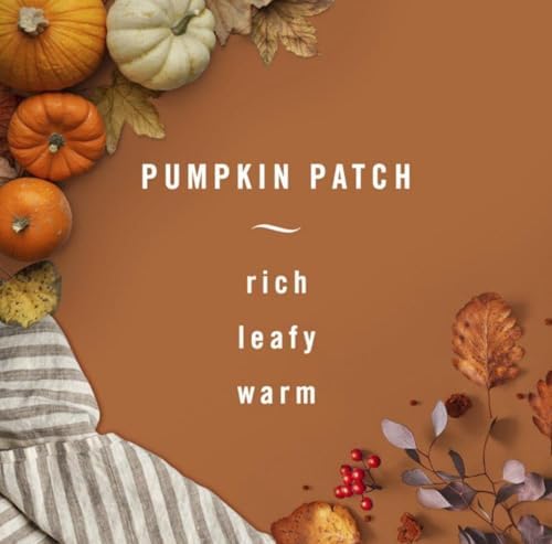 Febreze Air Effects Limited Edition Odor-Fighting Air Freshener, Pumpkin Patch, 8.8 OZ - pack of 3 (Pumpkin Patch), Orange - Image 3