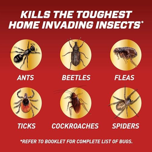 Ortho Home Defense Insect Killer for Indoor & Perimeter Refill2, Controls Ants, Roaches, Spiders, and More, 1 gal. (Pack of 2) - Image 4