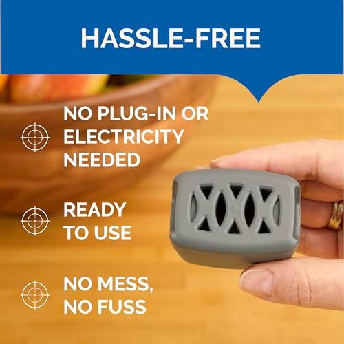Hot Shot Flying Insect Trap, Discreet, Trap Attracts, Captures and Kills House Flies and Fruit Flies, 24/7 Continuous Attraction, No Plug-in Or Electricity Needed, 6 Count - Image 5