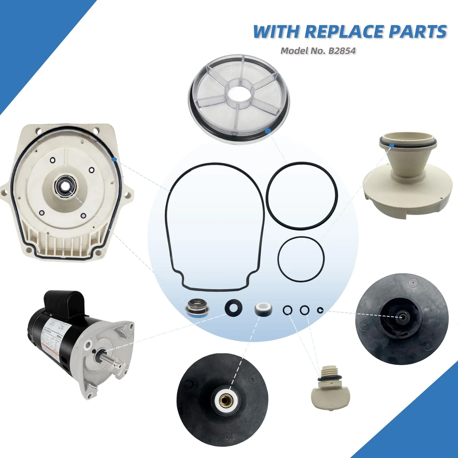 B2854 1-1/2HP, Replaces Century/AO Smith Pool Pump Motors,1.5HP,115/230V, 3450 RPM, 8.0/16.0Amps, 56Y Frame 1.1Service Factor,PSC,F56AA40A01,Include Replace Parts, Square Flange ODP Enclosure Leungoo - Image 5