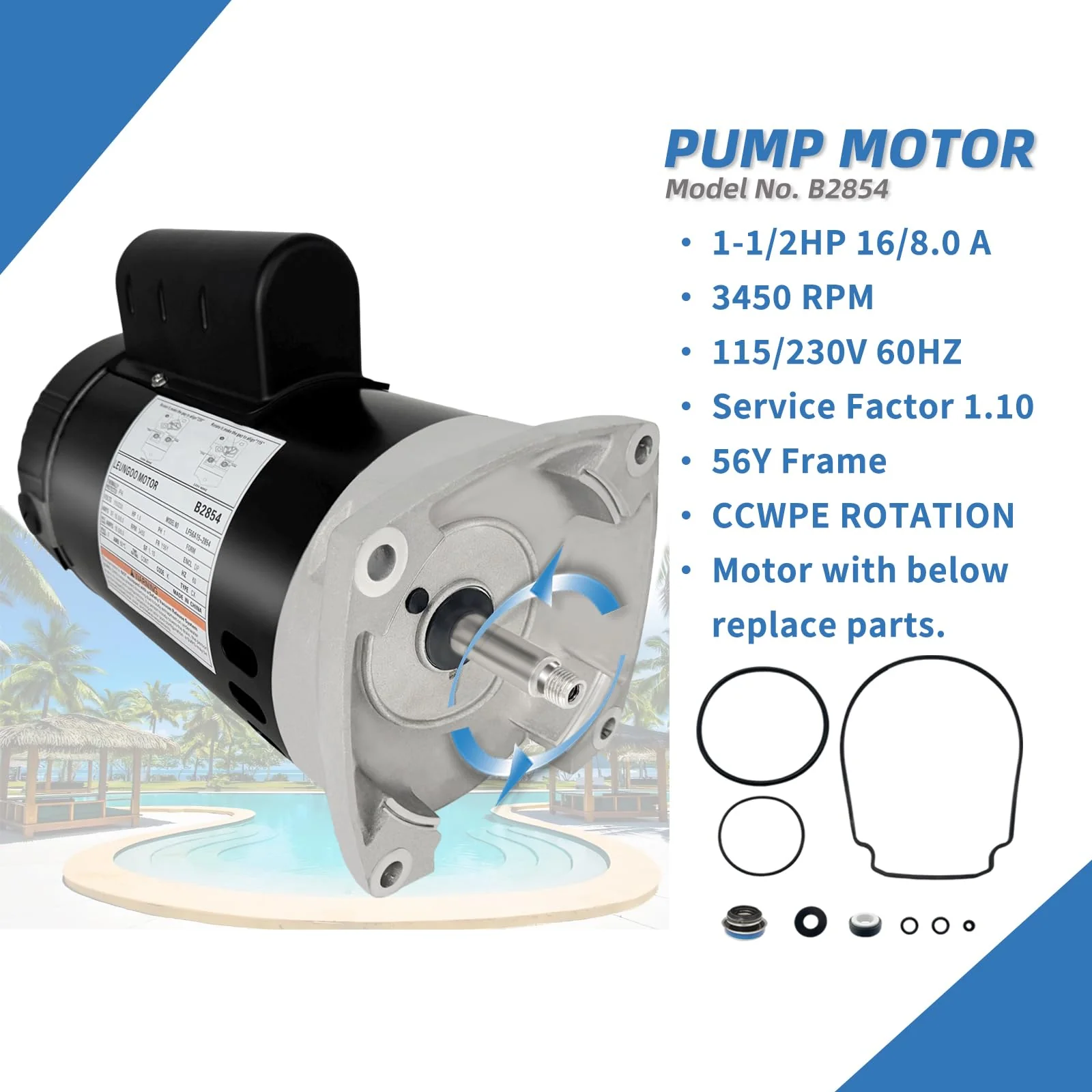 B2854 1-1/2HP, Replaces Century/AO Smith Pool Pump Motors,1.5HP,115/230V, 3450 RPM, 8.0/16.0Amps, 56Y Frame 1.1Service Factor,PSC,F56AA40A01,Include Replace Parts, Square Flange ODP Enclosure Leungoo - Image 6