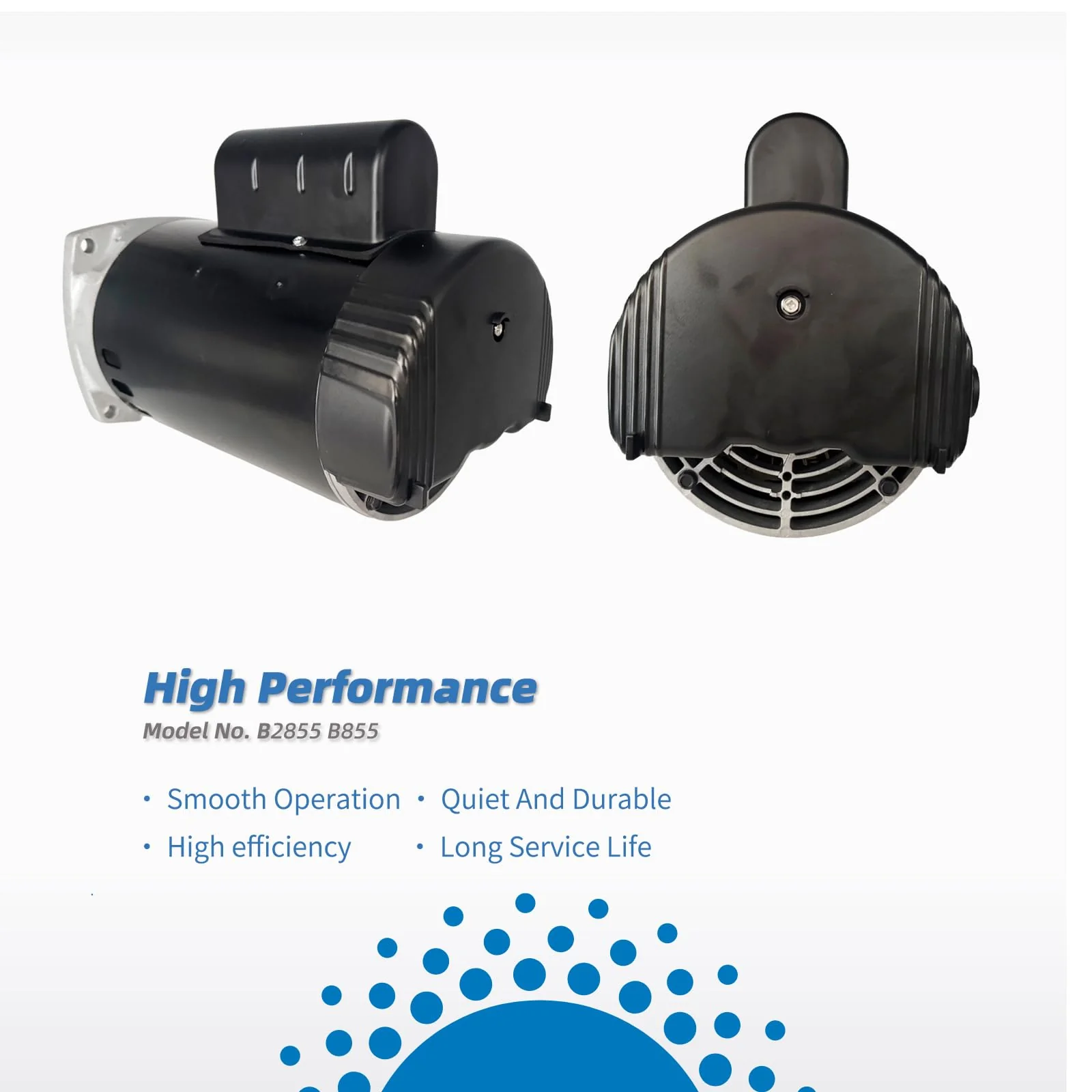 B2855 2HP Pool Pump Motor Replaces Century/AO Smith Regal Beloit B855 Swimming Pool Pump Motors, 230V, 10A, 3450RPM 1.5KW 56Y Frame 1.1 SF Include Replace Parts, Single Phase Square Flange Leungoo - Image 2