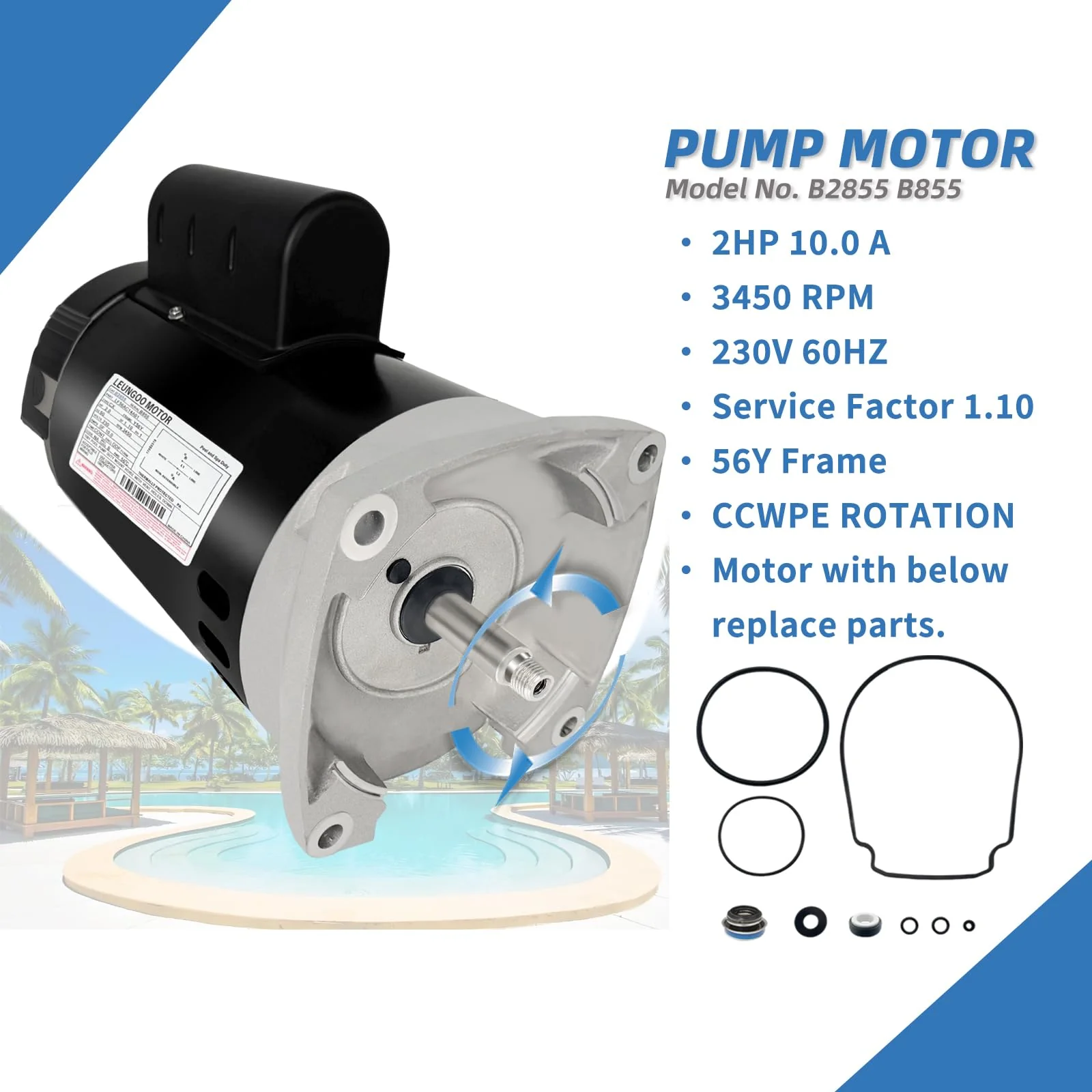 B2855 2HP Pool Pump Motor Replaces Century/AO Smith Regal Beloit B855 Swimming Pool Pump Motors, 230V, 10A, 3450RPM 1.5KW 56Y Frame 1.1 SF Include Replace Parts, Single Phase Square Flange Leungoo - Image 6