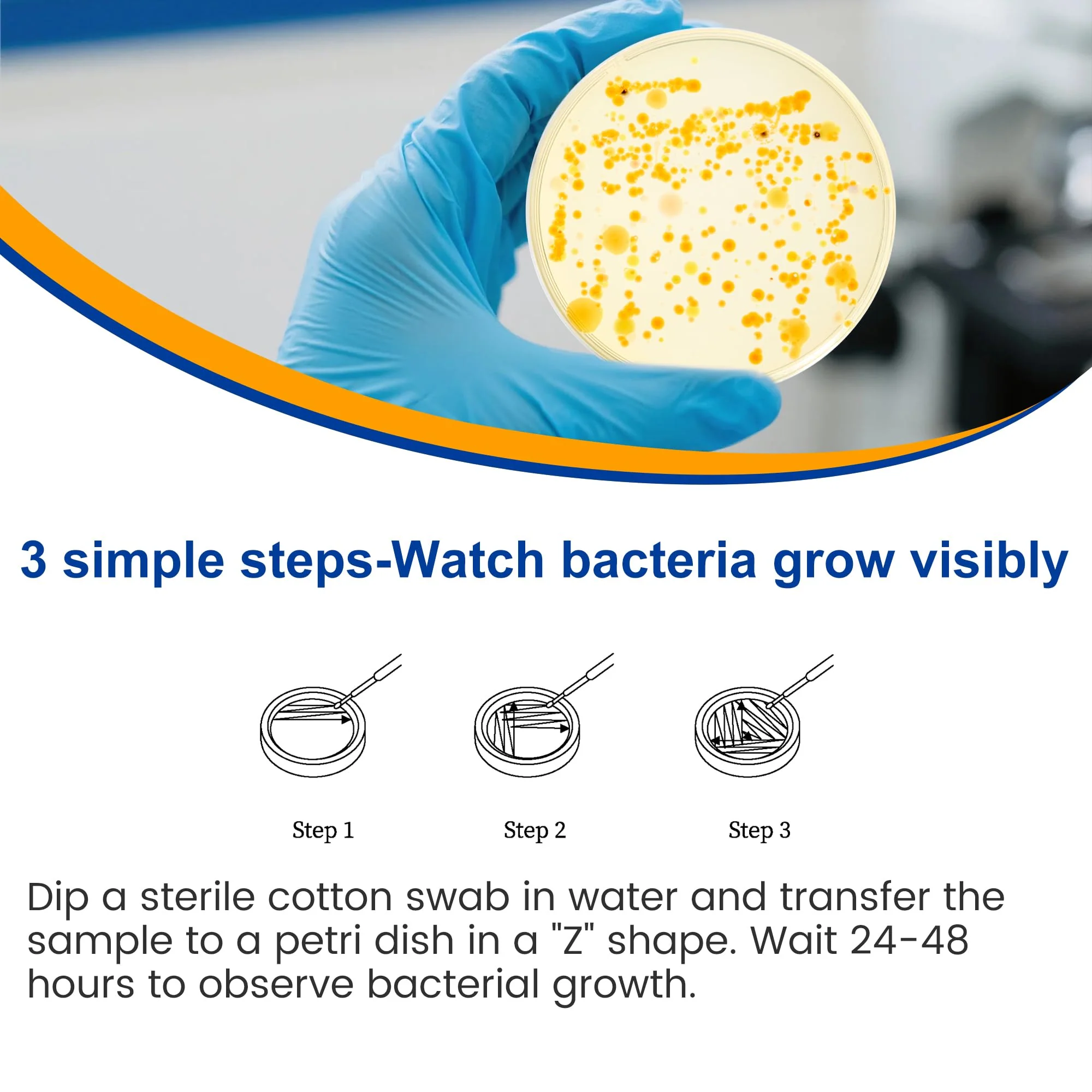 Bacteria Test Kits for Drinking Water - 12 Tests Detect Coliform, E.coli & All Bacteria | Home Quality Testing Kit for Well, Tap, Pool, Hot Tub & City Water | Easy DIY Tester with Free Lab Analysis - Image 4