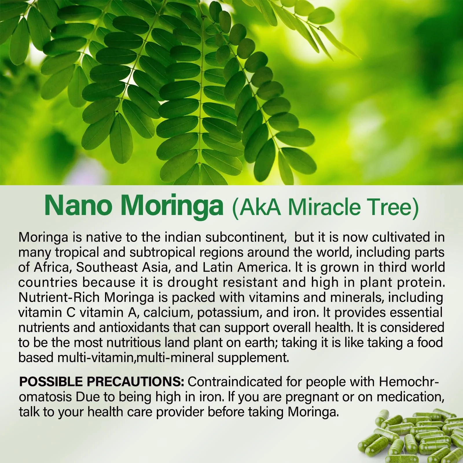 Bcuelov Moringa Capsules | 800mg Pure Moringa Powder Capsules – Supports Energy, Skin & Gut Health, Immune System – Green Superfood with Vitamins & Amino Acids (90 Caps) - Image 7