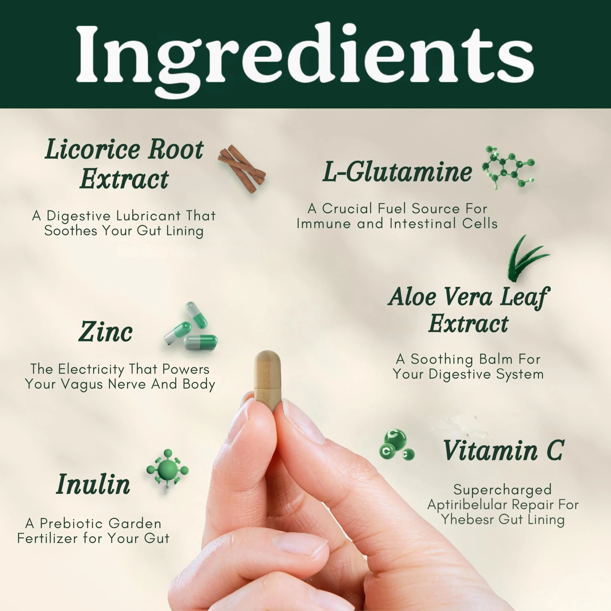 Best Days Formula | Advanced 5-in-1 Gut Support for Bloating, Gas & Irregularity | Soil-Based Probiotics + Prebiotics, L-Glutamine, Aloe Vera & More | 60 Capsules - Image 7