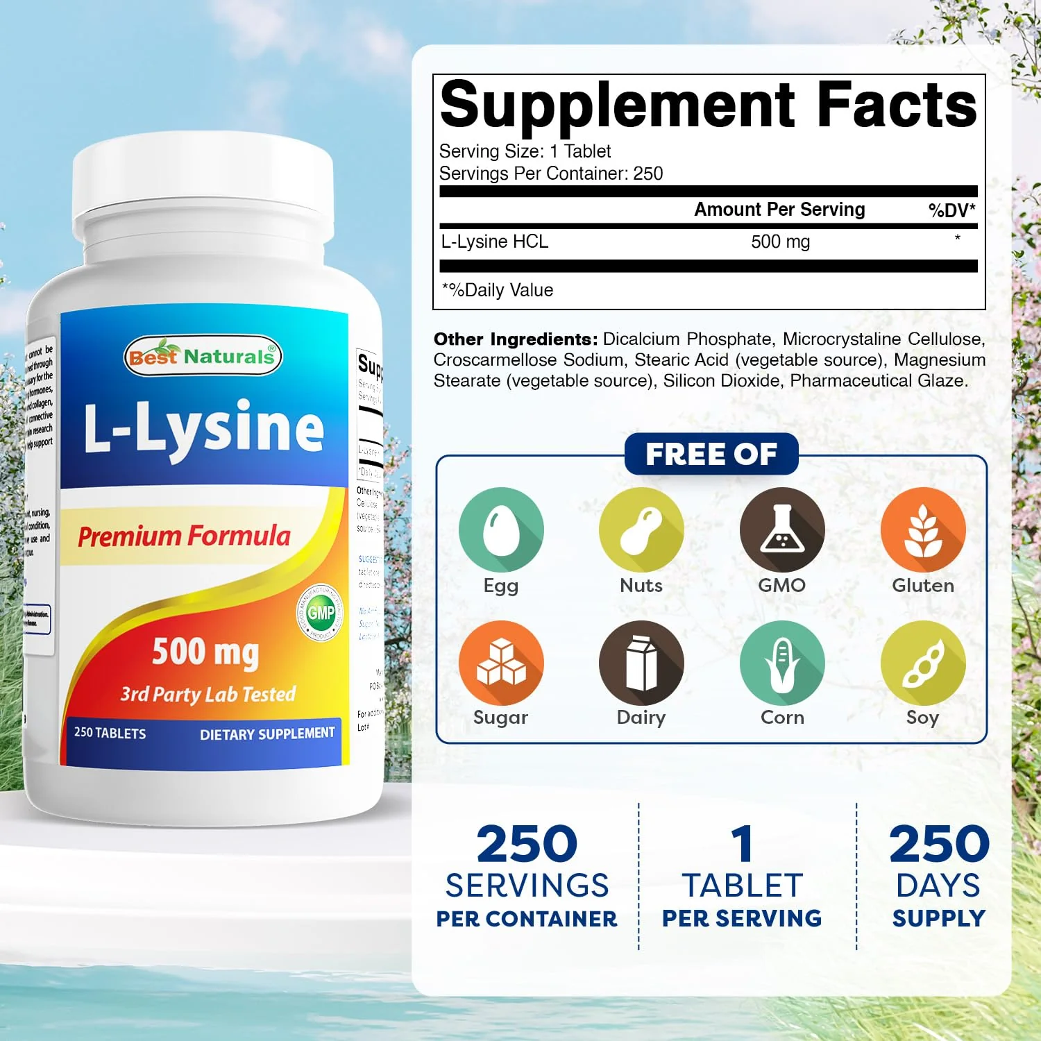 Best Naturals L-Lysine 500 mg 250 Tablets (250 Count (Pack of 3)) - Image 7