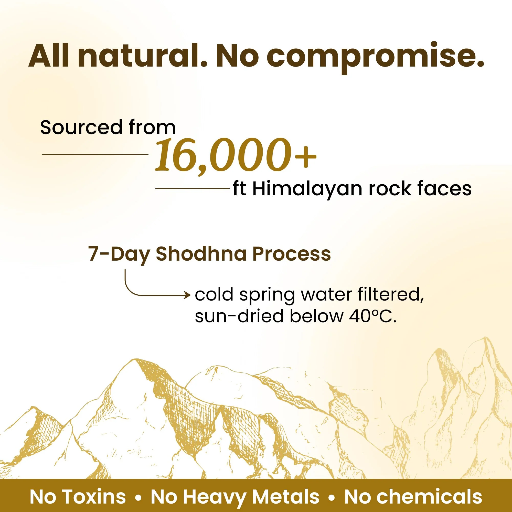 Better Alt Pure Himalayan Shilajit Resin Pack of 1 High Potency Gold Grade 75 Servings for Energy Boost & Immune Support, 85+ Trace Minerals, 75%+ Fulvic Acid, with Lab Test Report,400 mg - Image 4