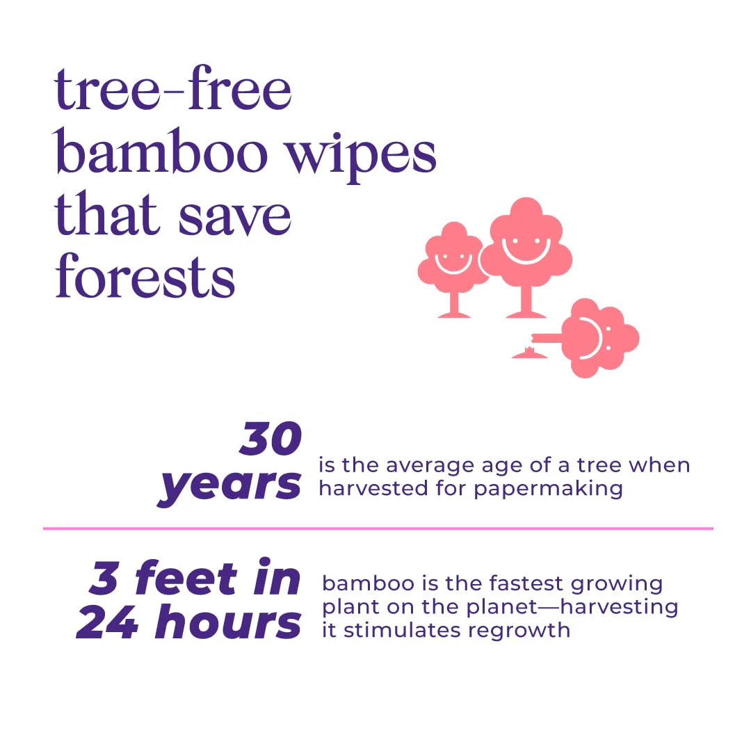Bim Bam Boo | Flushable Wet Wipes | 100% Plant Based | Extra-Large Size Durable Bamboo | Body Safe, Smooth on Skin, Hypoallergenic | 42 Wipes Per Pouch - 8 Pouches | 366 Total Wipes - Image 5