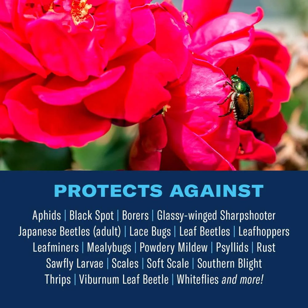 BioAdvanced All-In-One Rose and Flower Care Fertilizer, Concentrate, 64 oz, Rose Fertilizer and Disease Control - Image 7