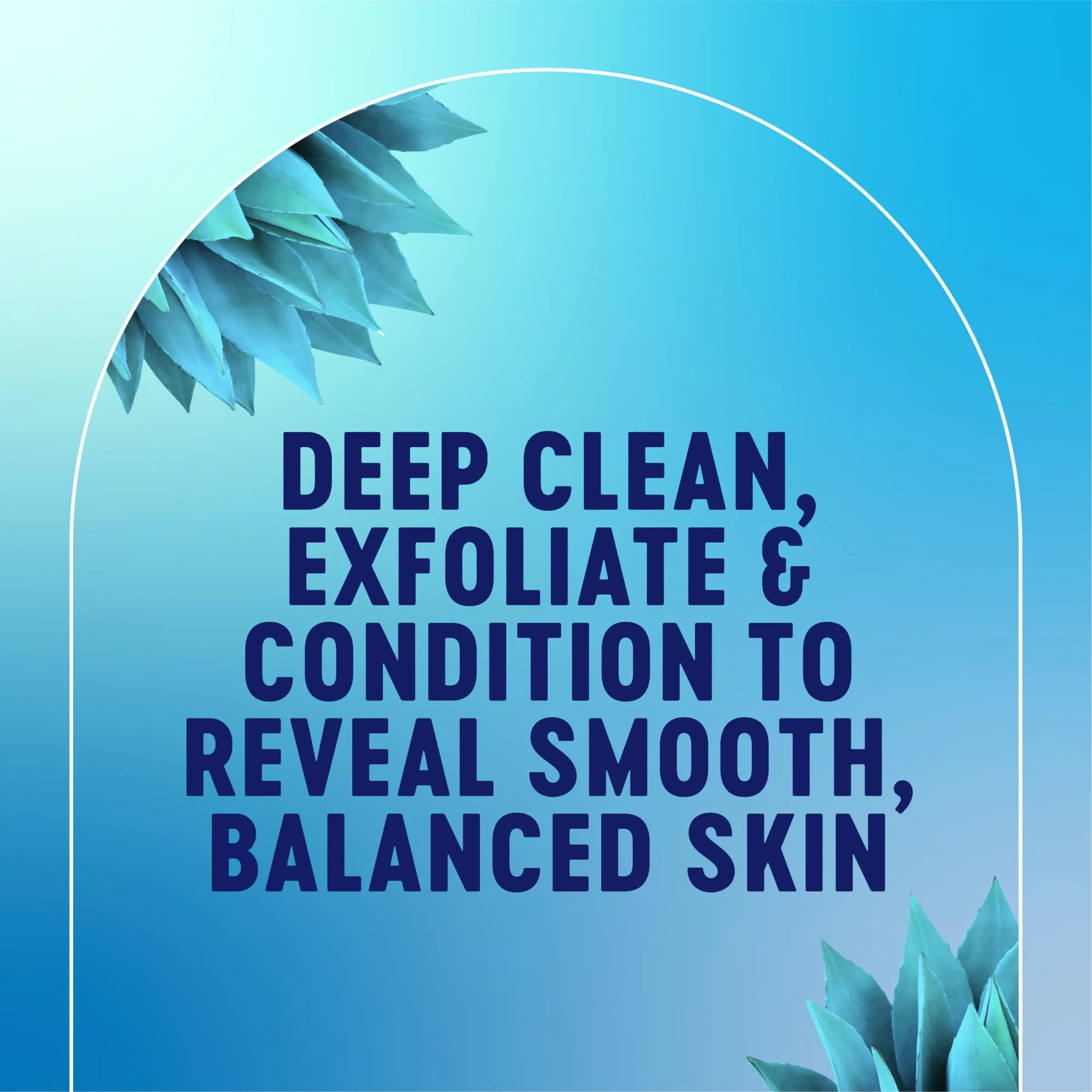 Bioré Balancing Face Wash, Cleanser For Combination Skin, PH Balanced Face Cleanser, Vegan, Cruelty Free 6.77 Oz, Pack of 3 - Image 8