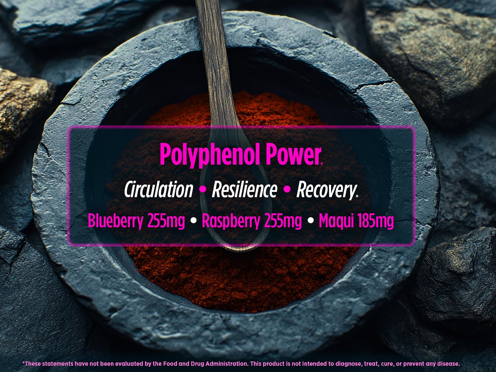 Biotest Superfood - Berry-Dense Polyphenols - 30 Servings - Image 3