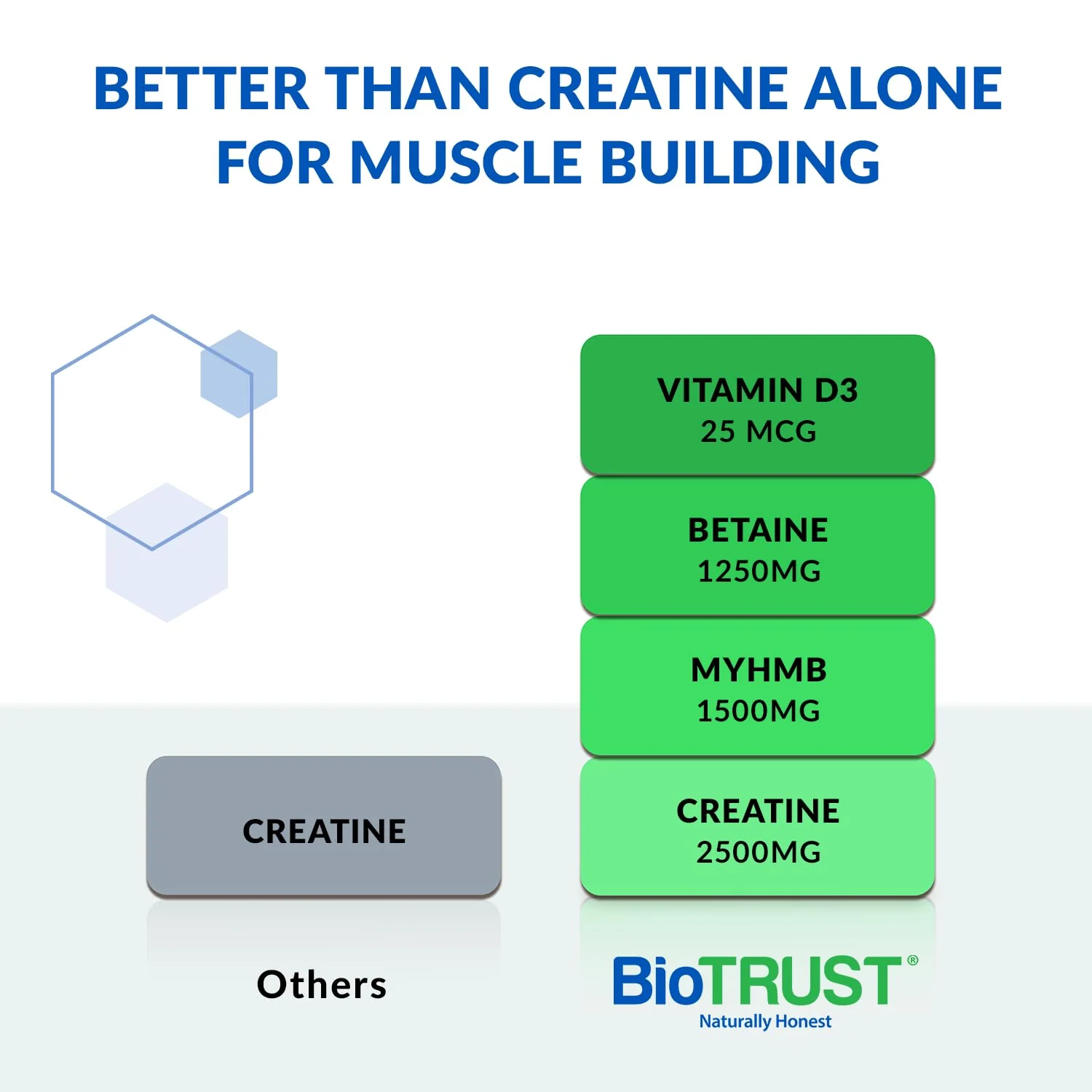 BioTrust Ageless Muscle Builder - Creatine HMB Powder with Vitamin D3 & Betaine - Build & Preserve Naturally Declining Muscle Mass & Strength - Fruit Punch, 30 Servings - Image 7