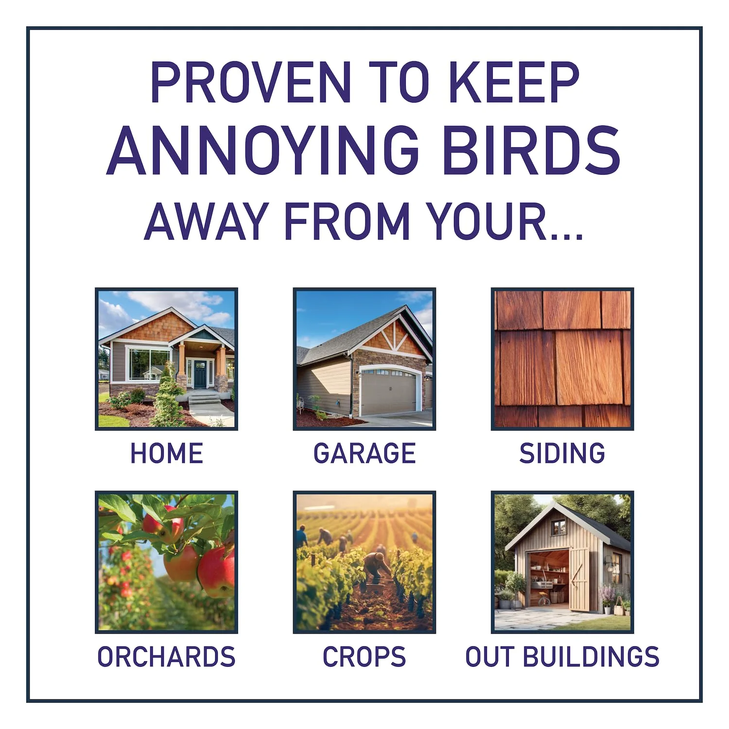 Bird Blaster 16oz Spray Keep Woodpeckers Away House Siding Stop Woodpeckers on House + Other Birds Flickers Blue Jays to Prevent Home Building Patio Deck Damage | Anti-Woodpecker Deterrent Repellent - Image 6