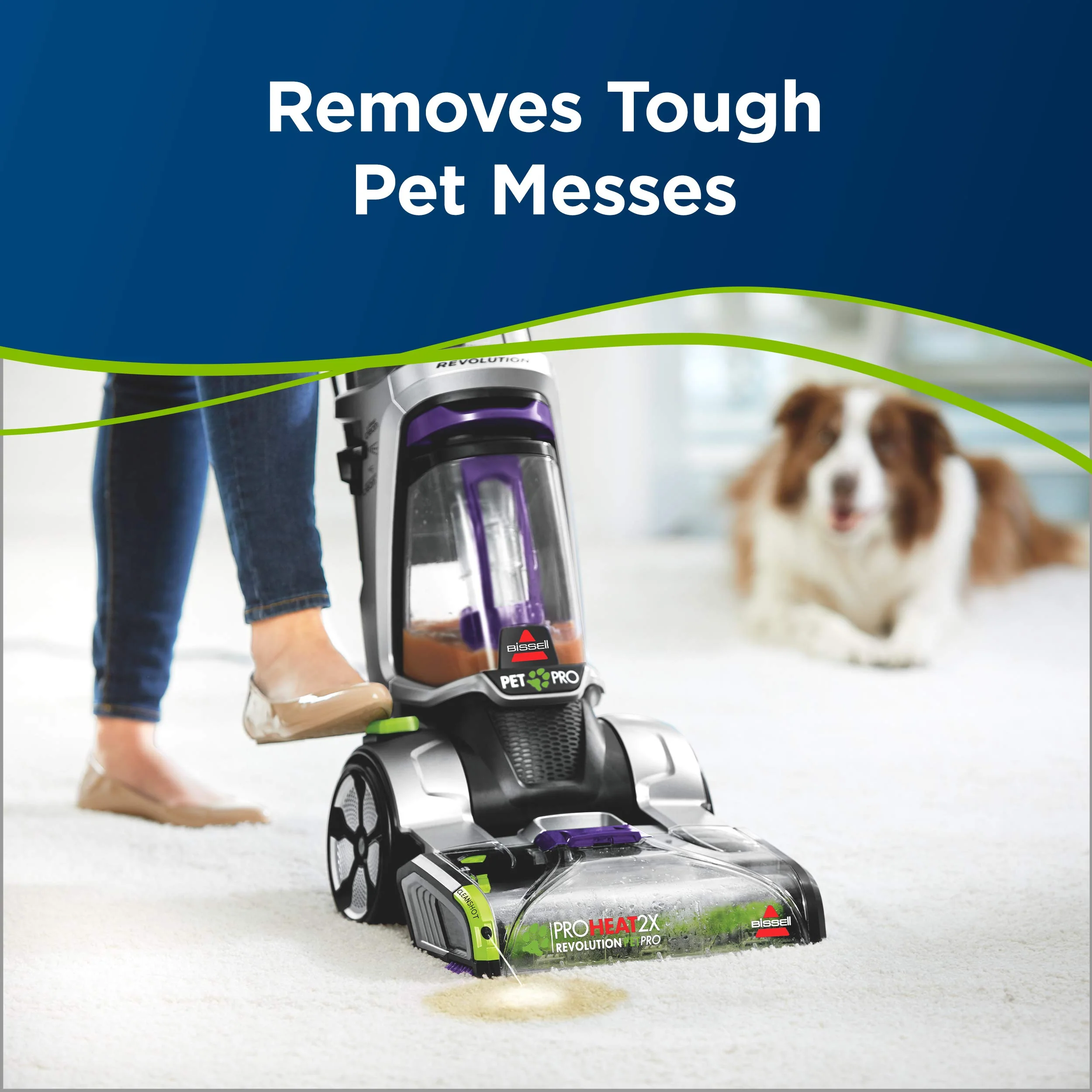 BISSELL 2X Pet Stain & Odor Full Size Machine Formula, 60 ounces, 99K52 - Image 4