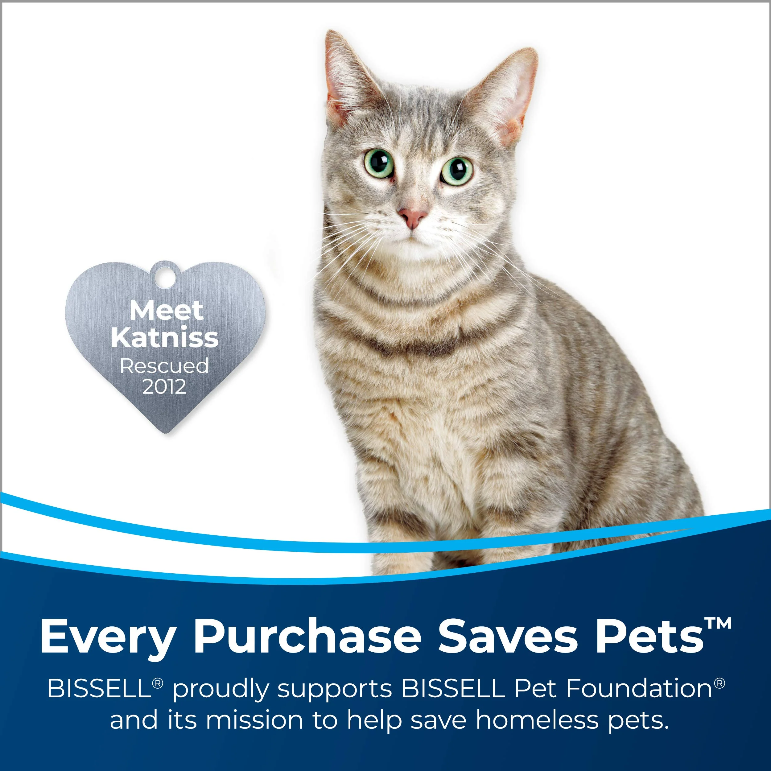 Bissell Pet Stain & Odor Remover + Sanitize Formula, 22 oz, 2 Pack, 11299 - Image 4