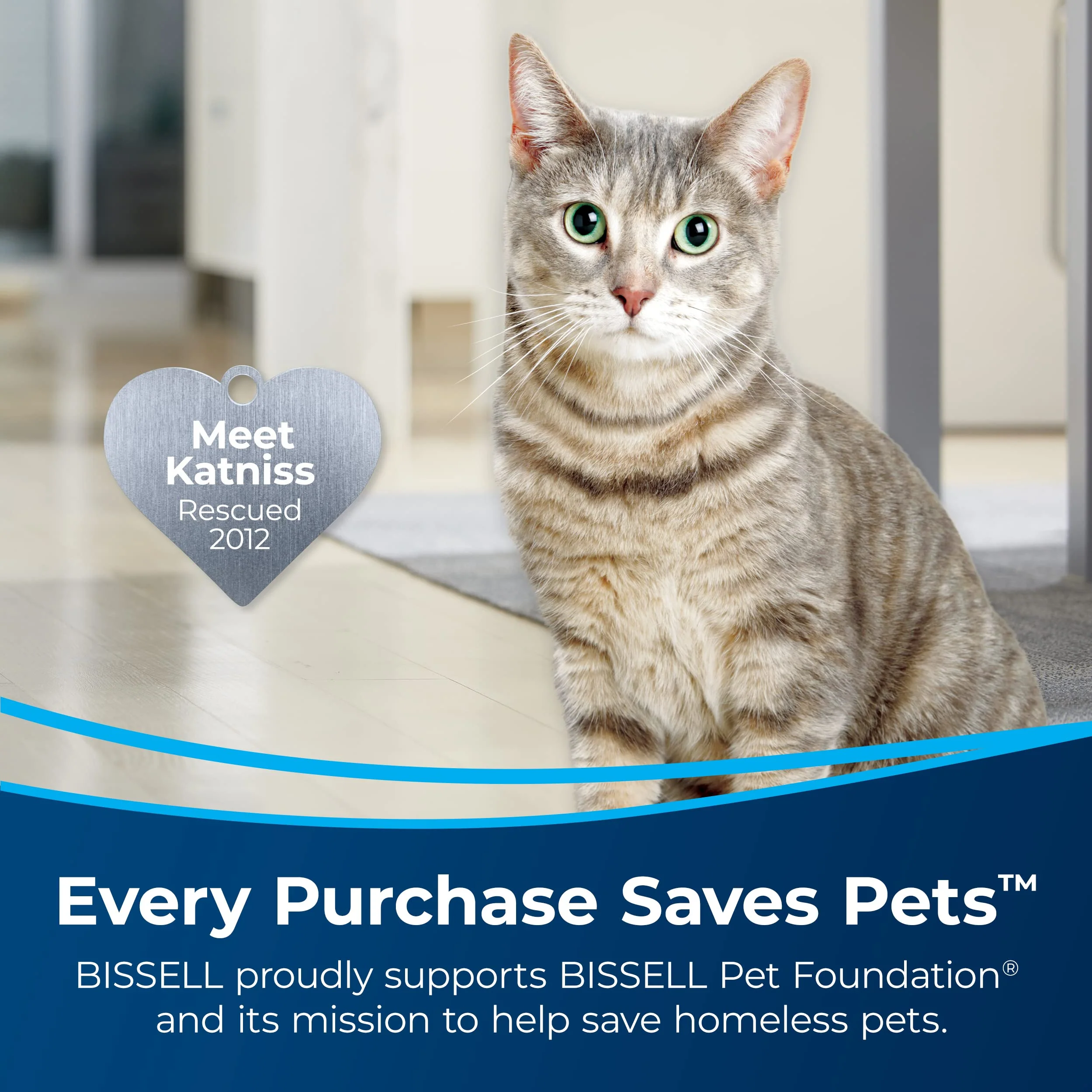 BISSELL Spotlifter Pet Carpet and Upholstery Cleaner with Brush Head - 4 Pack, 93523 - Image 4