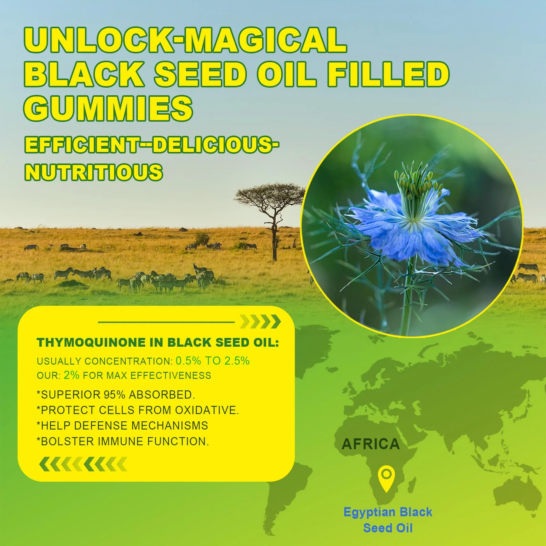 Black Seed Oil Gummies & Chlorophyll, Biotin 500mcg with Hydrolyzed Collagen, Raw Manuka Honey, Organic Cold Pressed - Ultimate Absorption for Skin, Hair & Nails, Digestive, Overall Health, 1 Pack - Image 6