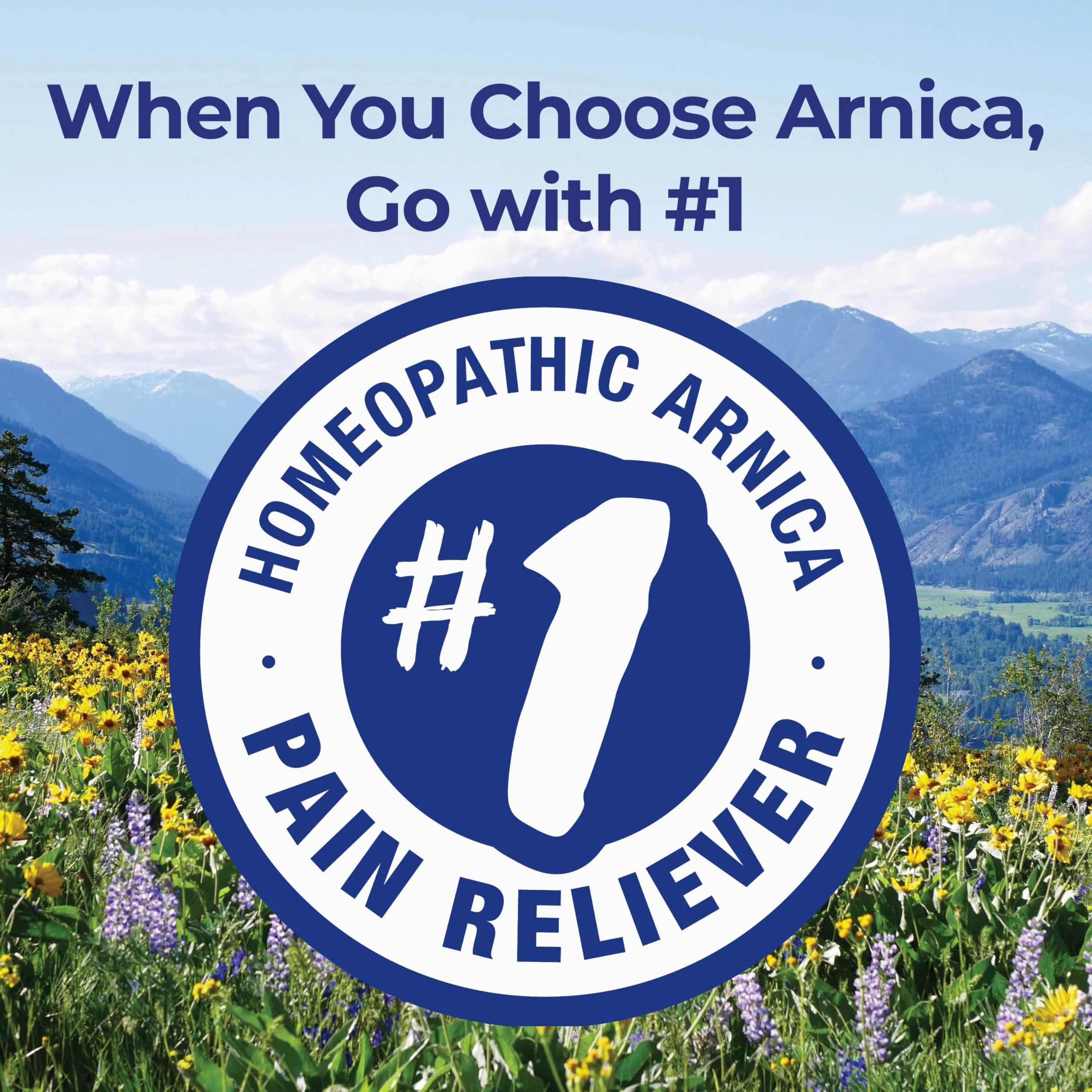 Boiron Arnica Montana 30C Homeopathic Medicine for Relief from Muscle Pain, Muscle Stiffness, Swelling from Injury, and Discoloration from Bruises - 3 Count (240 Pellets) - Image 5