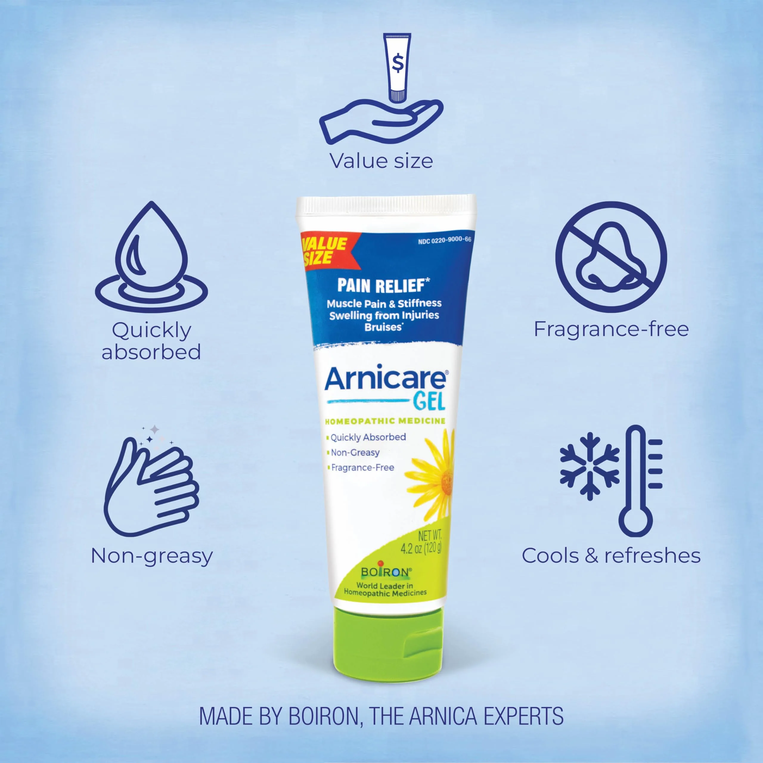 Boiron Arnicare Gel for Relief of Joint Pain, Muscle Pain, Muscle Soreness, and Swelling from Bruises or Injury - Non-greasy and Fragrance-Free - 4.2 oz - Image 3