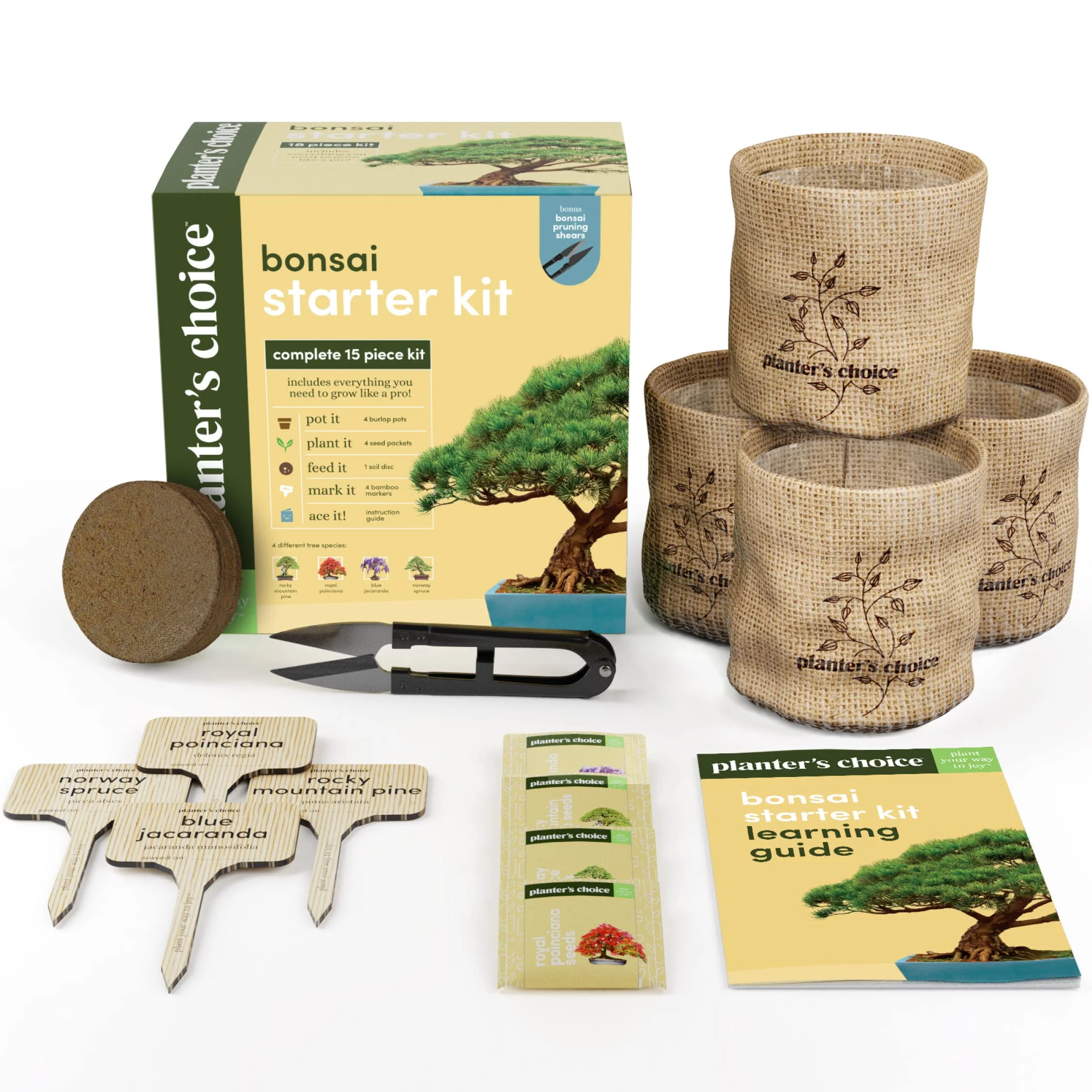 Bonsai Starter Kit - Gardening Easter Gift for Women & Men - Bonsai Tree Growing Garden Crafts Hobby Kits for Adults, Unique DIY Hobbies for Plant Lovers - Unusual Christmas Gifts Ideas - Image 3