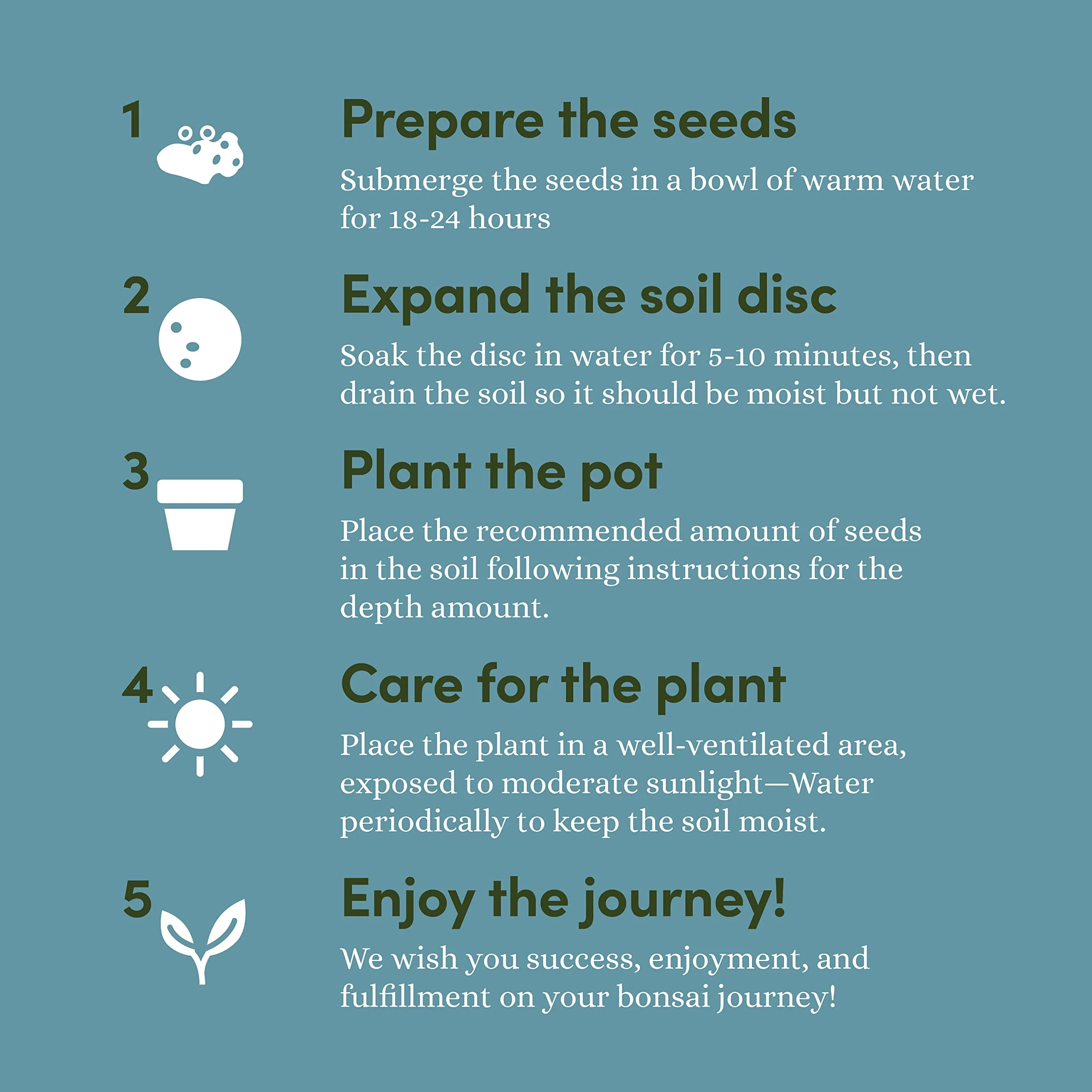 Bonsai Starter Kit - Gardening Easter Gift for Women & Men - Bonsai Tree Growing Garden Crafts Hobby Kits for Adults, Unique DIY Hobbies for Plant Lovers - Unusual Christmas Gifts Ideas - Image 6