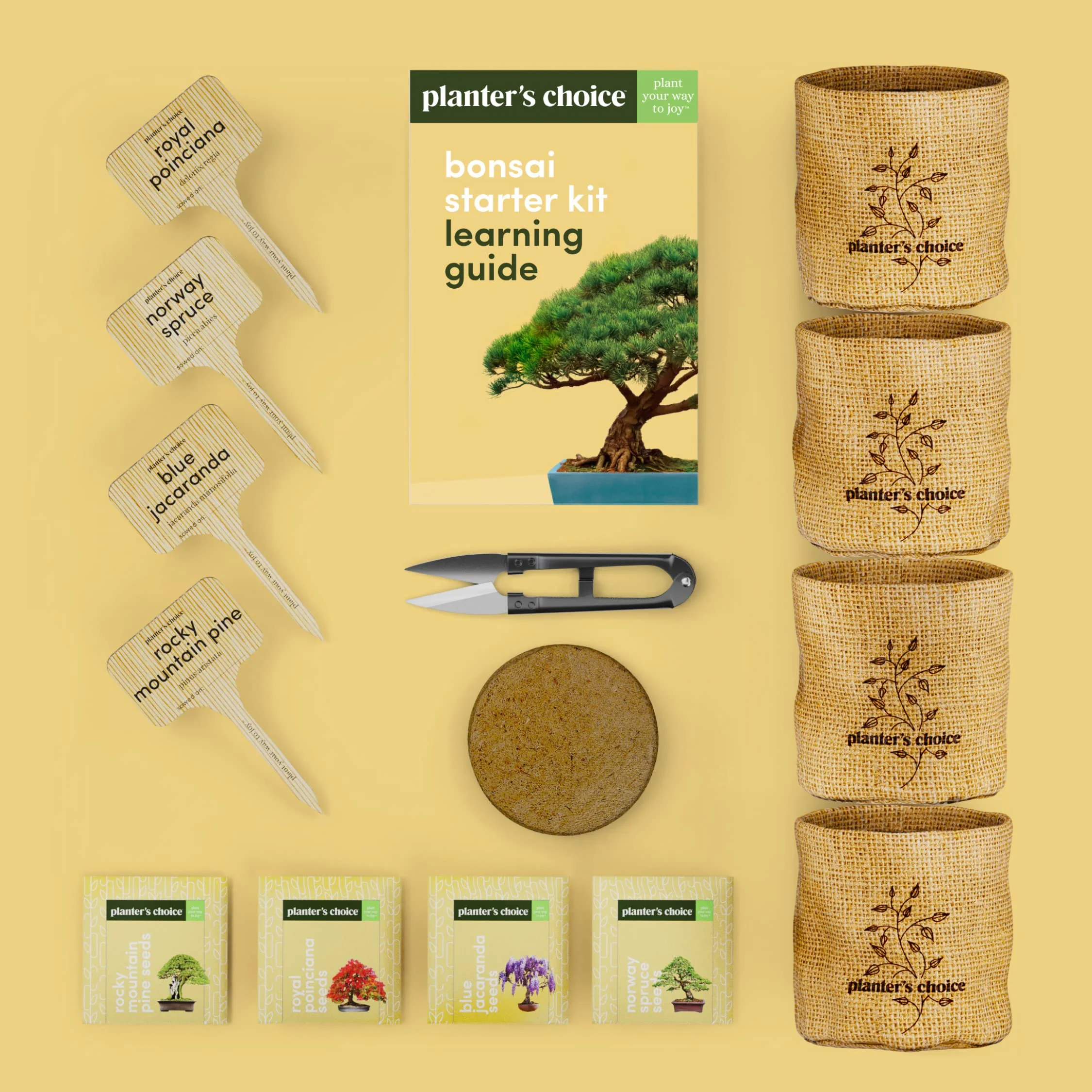 Bonsai Starter Kit - Gardening Easter Gift for Women & Men - Bonsai Tree Growing Garden Crafts Hobby Kits for Adults, Unique DIY Hobbies for Plant Lovers - Unusual Christmas Gifts Ideas - Image 7