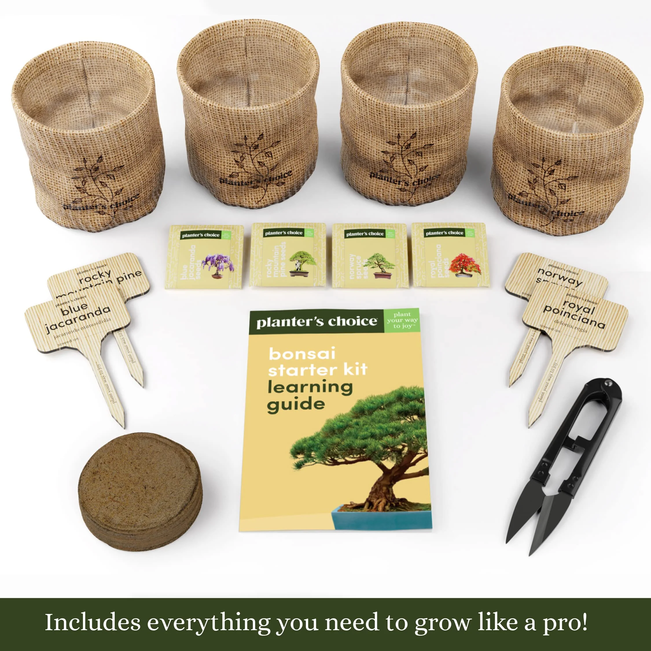 Bonsai Starter Kit - Gardening Easter Gift for Women & Men - Bonsai Tree Growing Garden Crafts Hobby Kits for Adults, Unique DIY Hobbies for Plant Lovers - Unusual Christmas Gifts Ideas - Image 9
