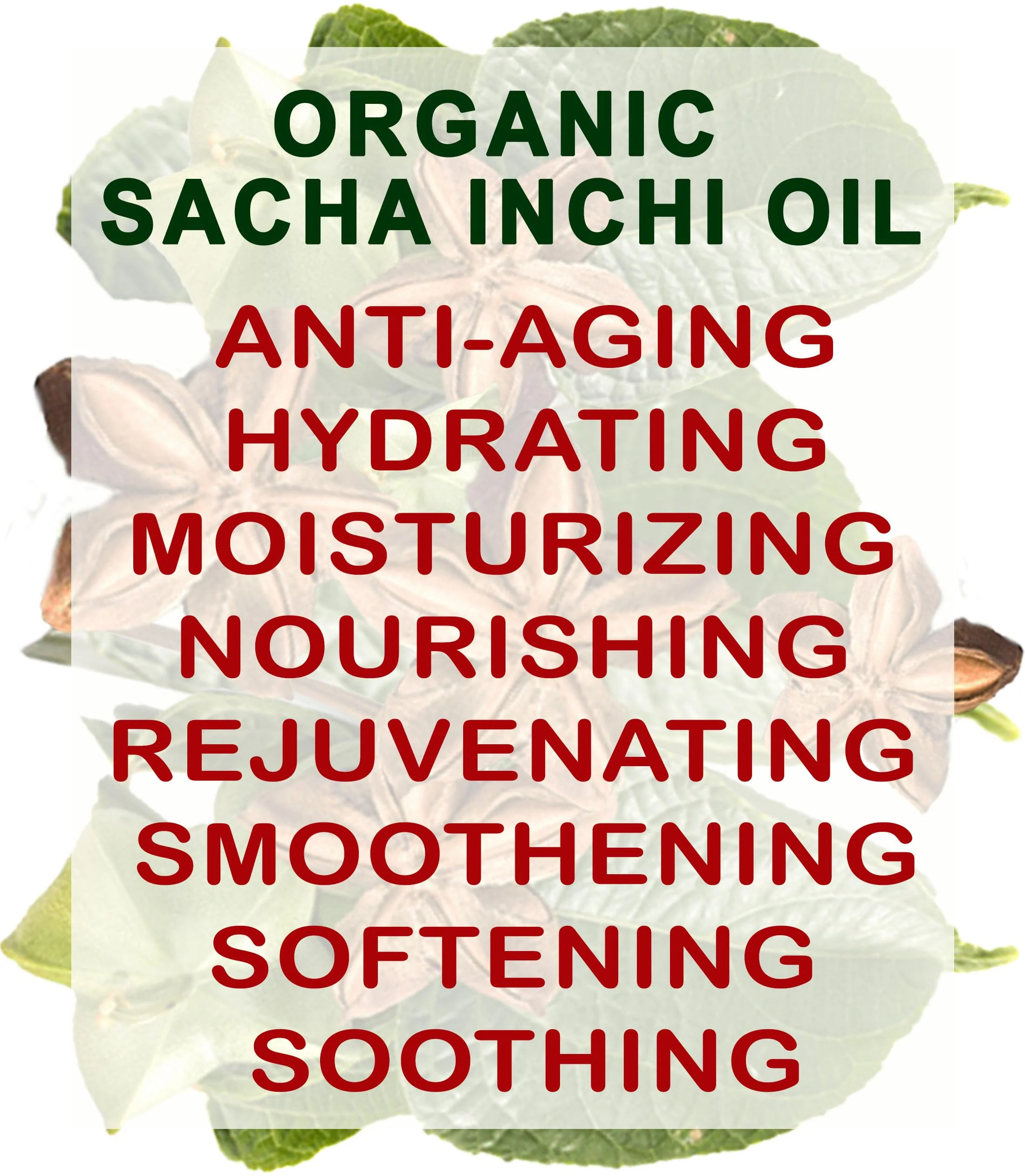 Botanical Beauty Organic SACHA INCHI OIL 100% Natural Pure Undiluted Virgin Unrefined Cold Pressed Carrier Certified Organic Oil For Face, Skin, Hair, Lip, Nails, Rich in Vitamin E (1 Fl Oz 30 ml) - Image 2