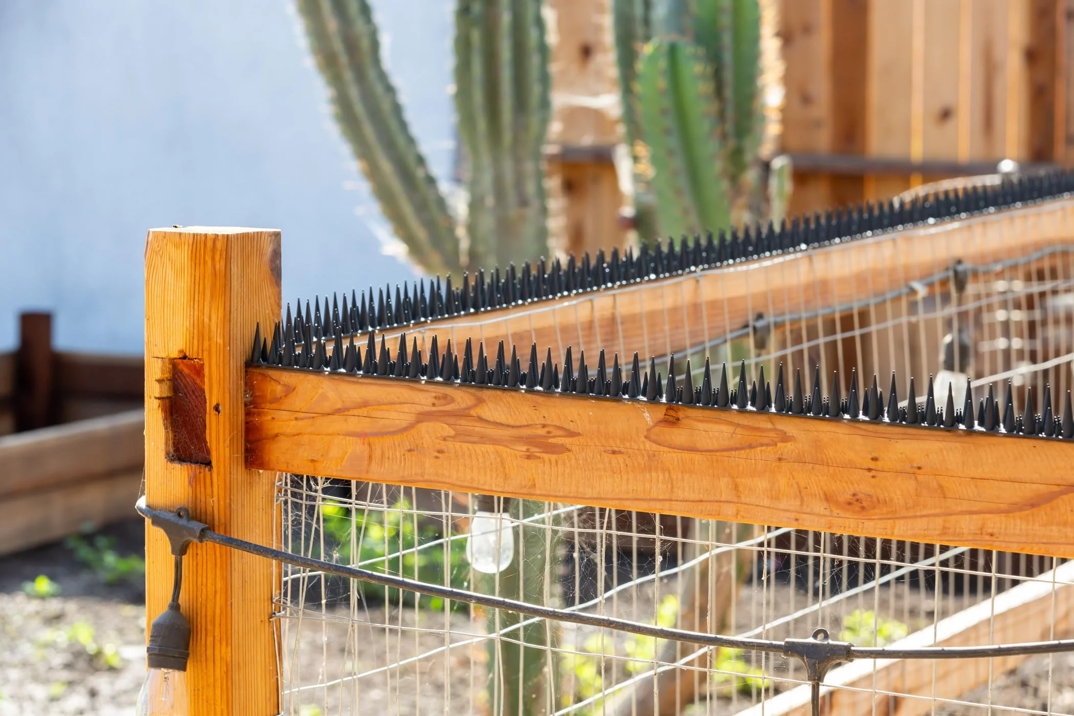 BUGG OFF - Bird & Rodent Spikes, Unique Spike Pattern effecitviely deteres Pesky Pigeons, Squirrels, Raccoons. Installs on Fences, Gates, Roofs, Walls and More! (15 Feet, Black Plastic) - Image 3