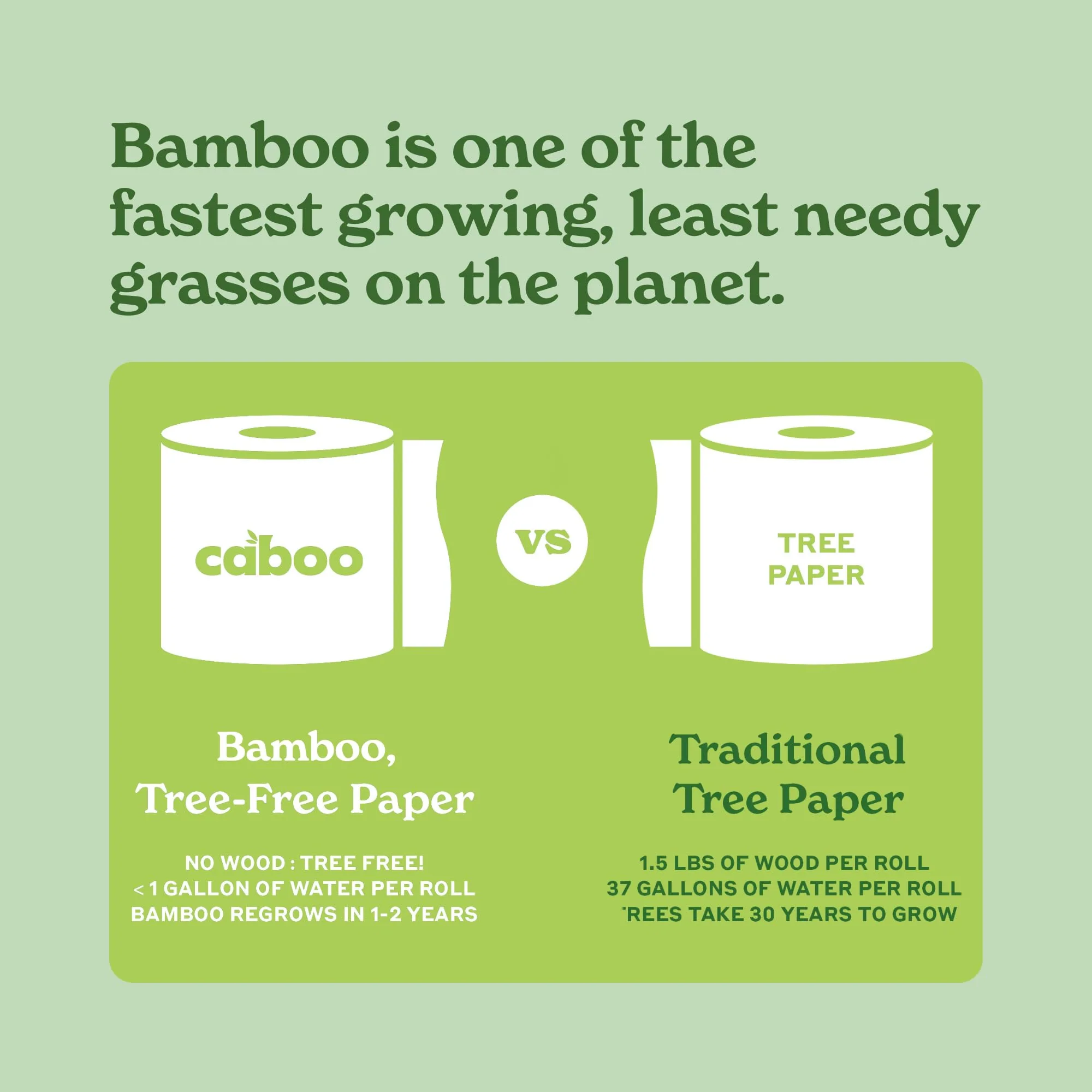 Caboo Tree Free Flushable Wipes, Certified Flushable, Septic Safe, Biodegradable, Chemical Free, Unscented Wipes for Adults made with Renewable Bamboo Based Viscose (Pack of 3, Total of 180) - Image 2