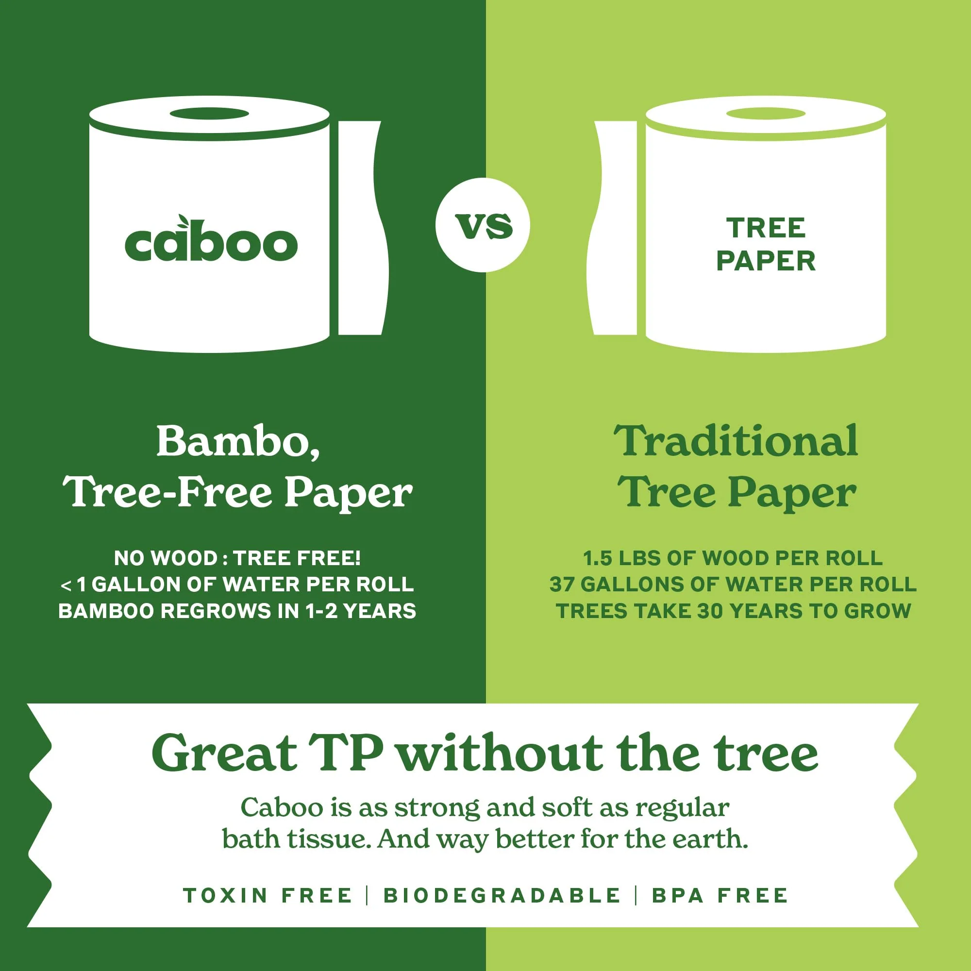 Caboo Tree Free Toilet Paper | Septic Safe, Eco Friendly, Chemical Free, Non Toxic | 2 Ply Toilet Tissue, Pack of 24 Double Rolls, 300 Sheets Per Roll - Image 2