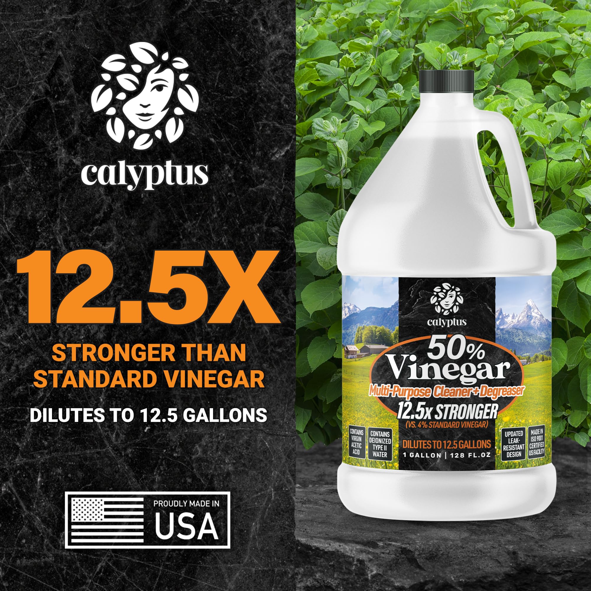 Calyptus 50% Pure Concentrated Vinegar | Maximum-Performance (12.5X) Power | Technical Grade | Dilutes Easily to 5% Acidity (1.5 Cups per Gallon) | Home and Outdoor Cleaning Concentrate | 4 Gallon - Image 3
