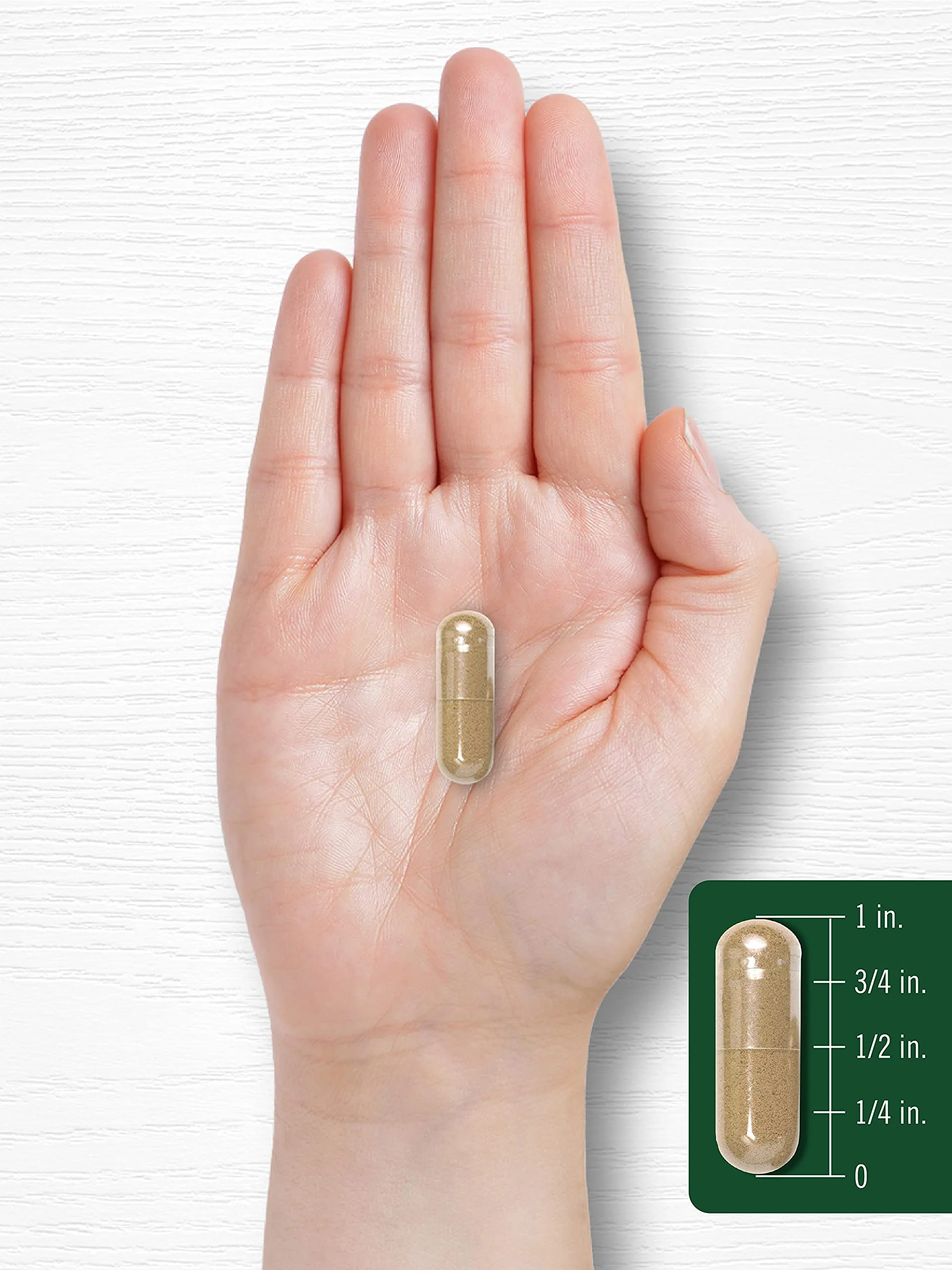 Carlyle Artichoke Extract Capsules | 200 Count | Non-GMO, Gluten Free Supplement - Image 2