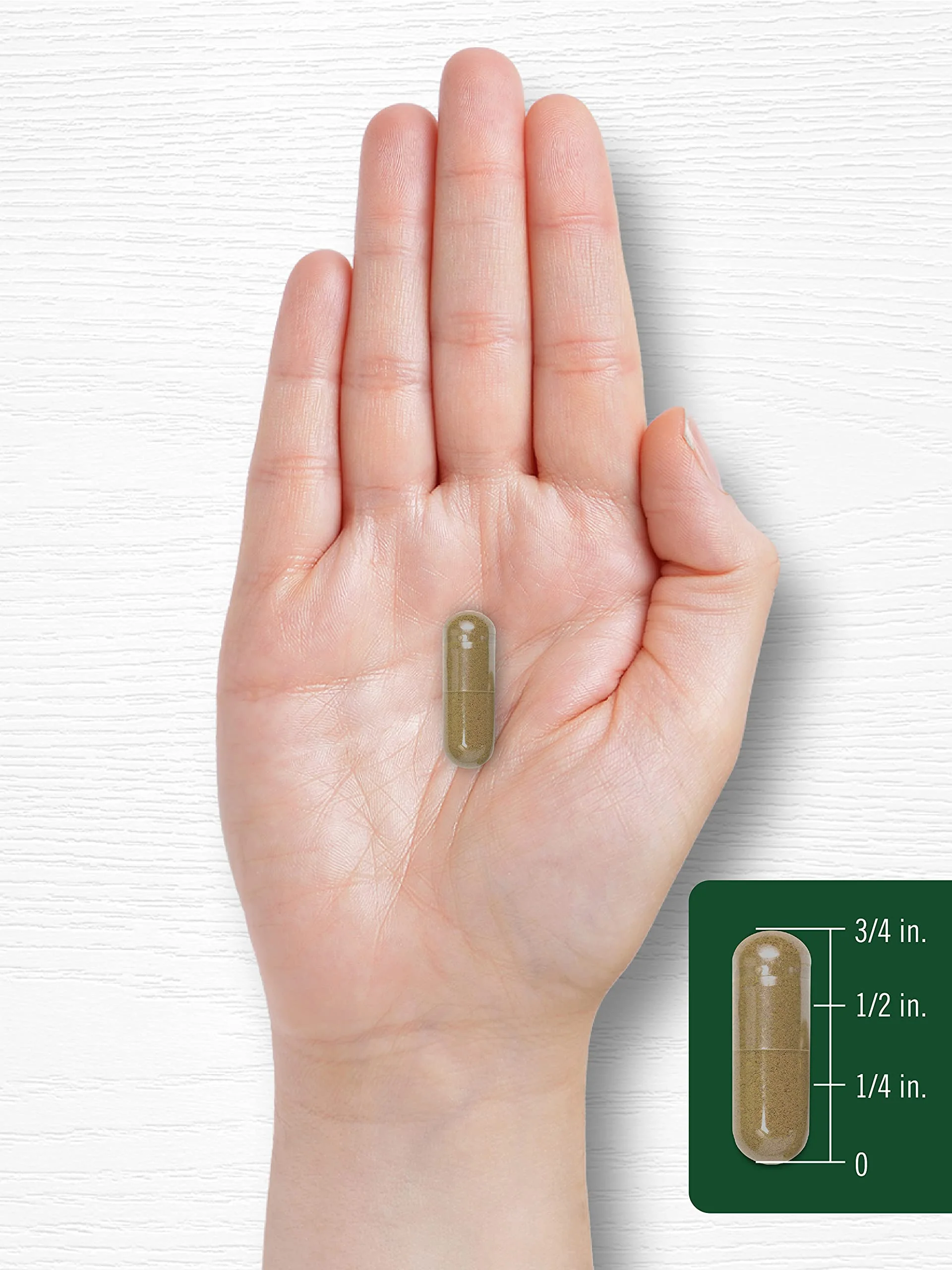 Carlyle Dandelion Root Extract | 300 Capsules | Herb Supplement | Taraxacum Officinale | Non-GMO and Gluten Free - Image 2