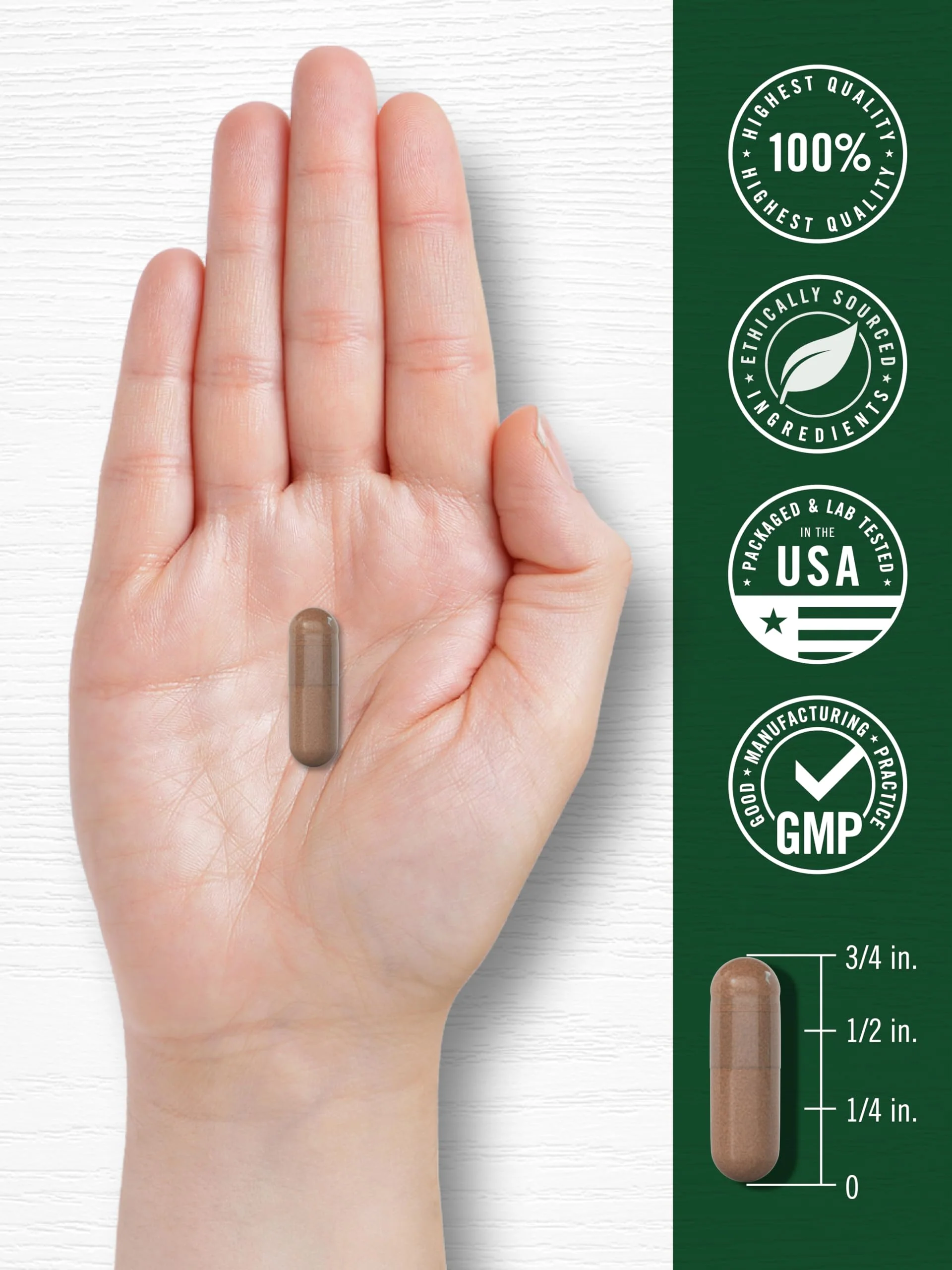 Carlyle Pycnogenol 100mg | 30 Capsules | French Maritime Pine Bark Extract | Pinus Pinaster | Non-GMO and Gluten Free Supplement - Image 2