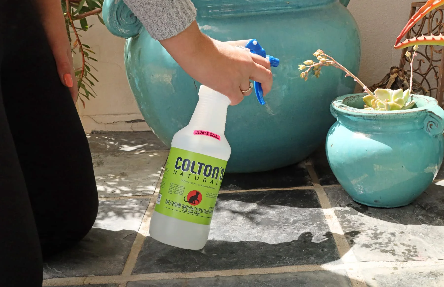 Cat Repellent Outdoor Spray Indoor (32 OZ) 100% Organic & Natural Yard Furniture Repellant - Image 5