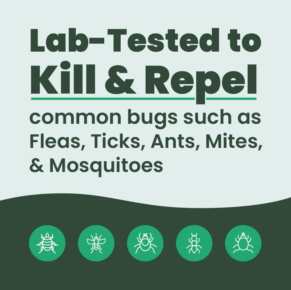 Cedarcide Original Bug Spray | Repel & Kill Fleas, Ticks, Mosquitoes, Mites, Ants & Chiggers | for use on People, Pets & Home | Natural Cedar Oil | Large Size Kit - Image 8