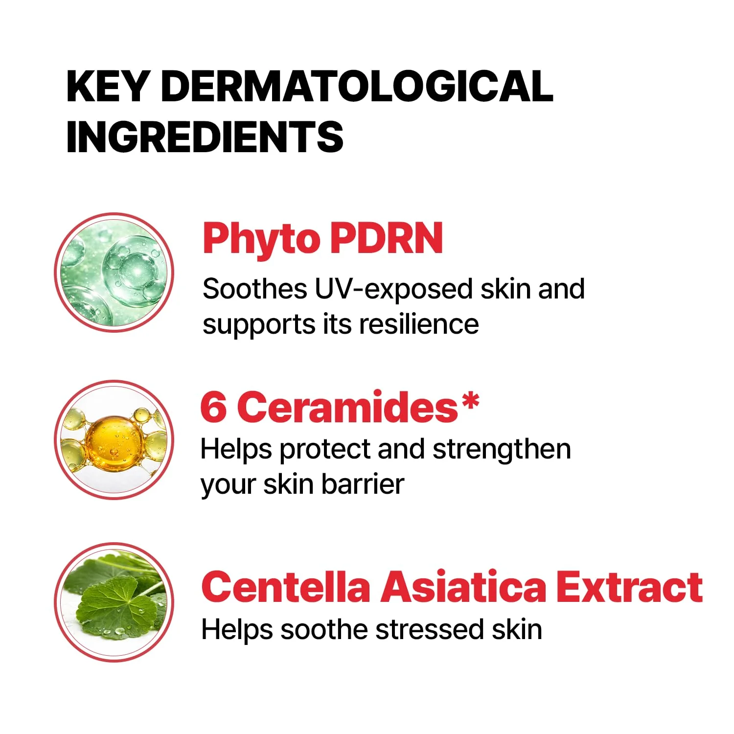Cell Fusion C Laser UV Defense Face Sunscreen SPF 50, PDRN & 6 Ceramides, Broad Spectrum Korean Sunscreen for Face, Soft Matt Finish, 50ml / 1.69 fl.oz - Image 5
