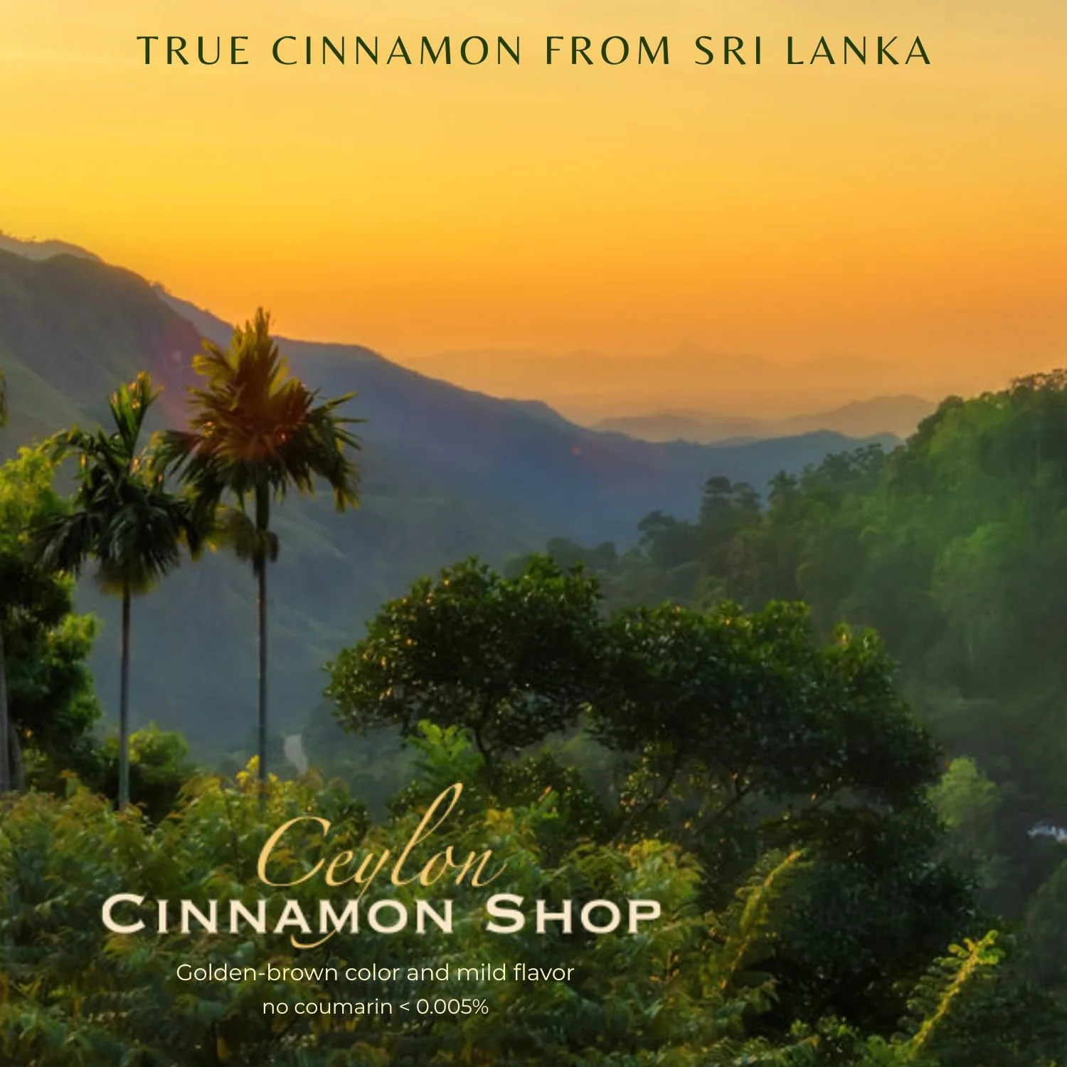 Ceylon Cinnamon Shop CinnaGold™ Organic Ceylon Cinnamon (100% Certified) Supplement, High-Potency Liquid Extract, 4 oz. – Super Antioxidant - Image 6