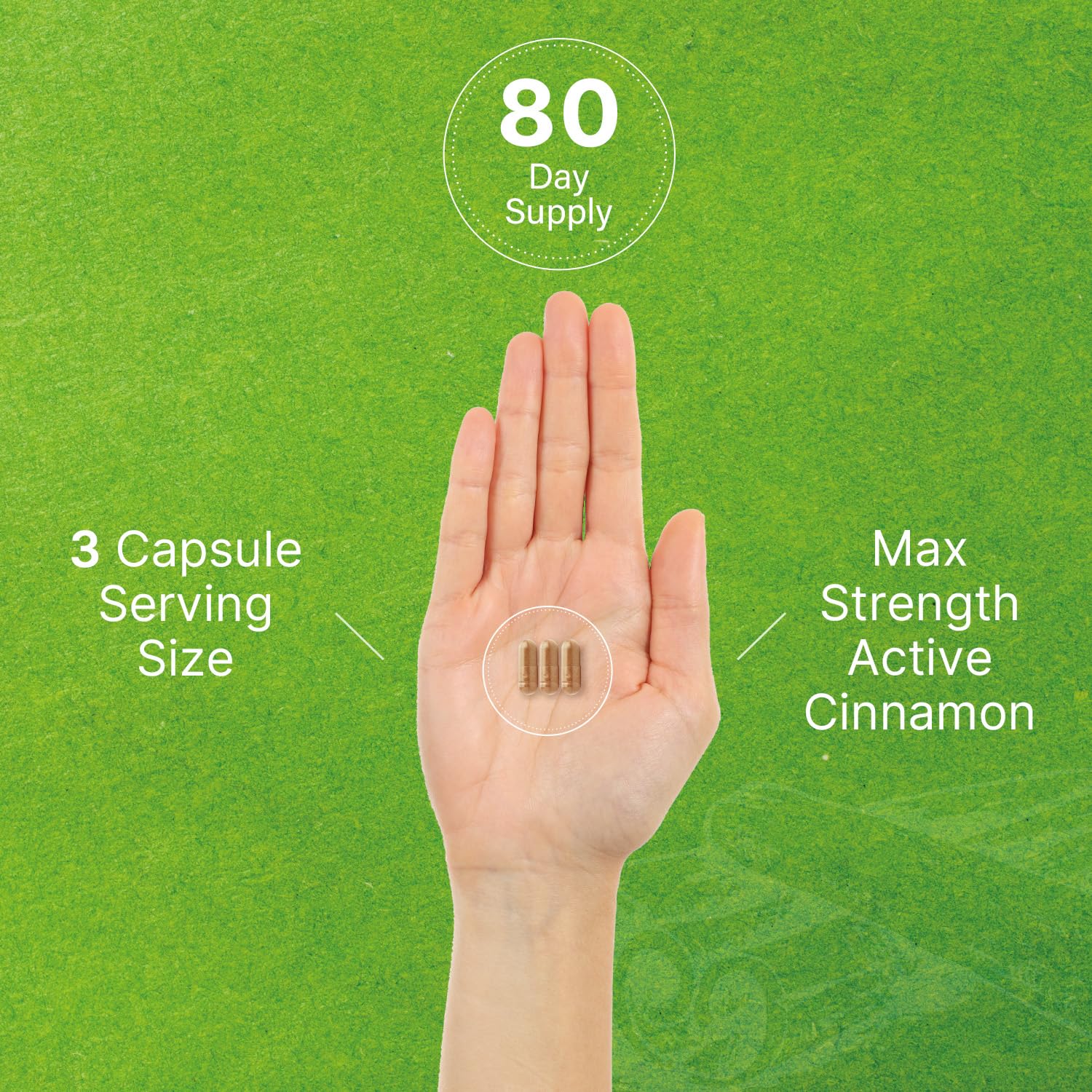 Ceylon Cinnamon with Chromium 1000mcg, 240 Capsules | Active Inner Bark Extract, True Sri Lanka Source | Natural Cinnamon Supplements - Image 3