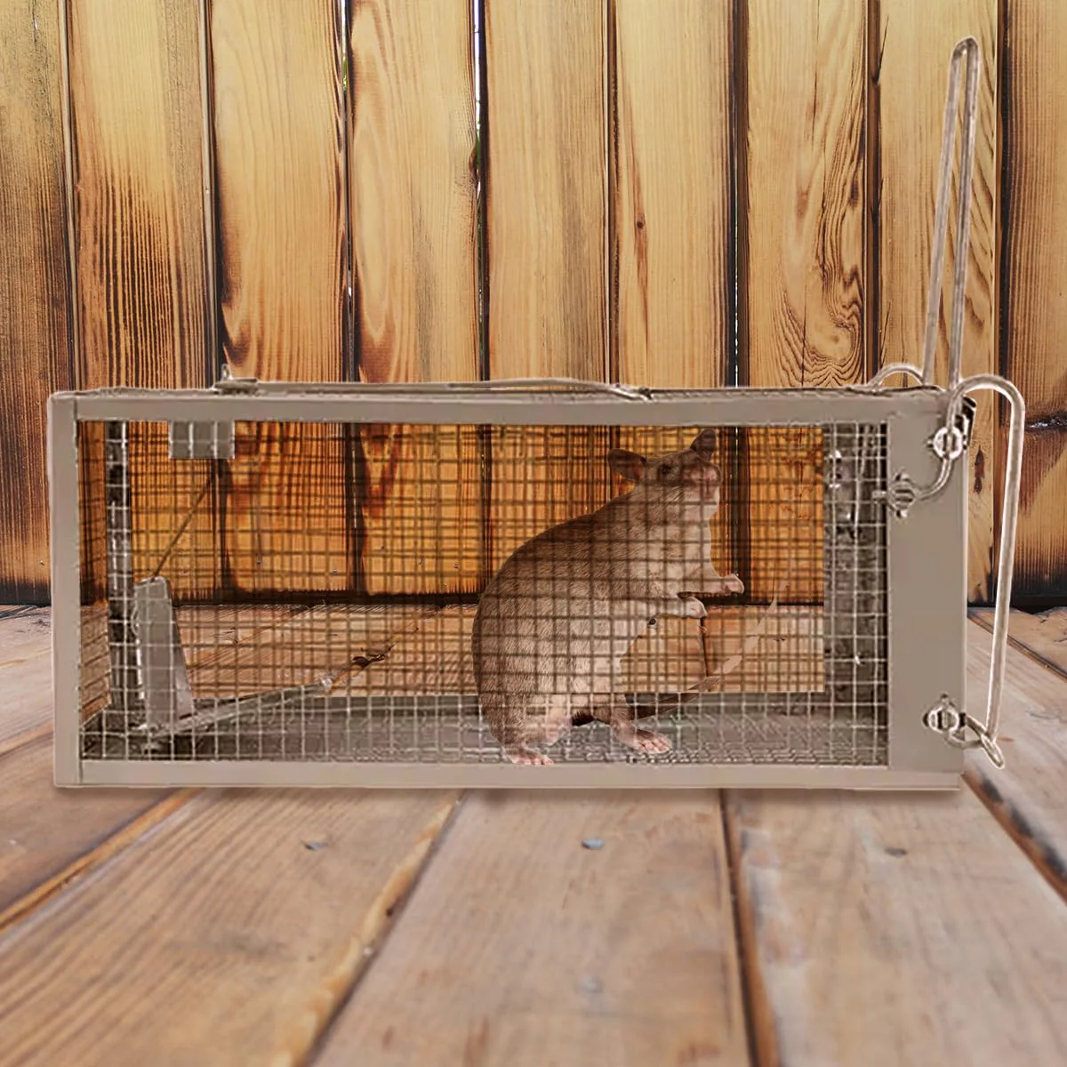 Chipmunk Trap -2 Pack, Squirell and Rat Trap Cages that Works, Humane Mouse Trap for Home | Catch and Release | Reusable and Durable | No Kill Animal Trap | for Inside Home and Outdoor Use - Image 2