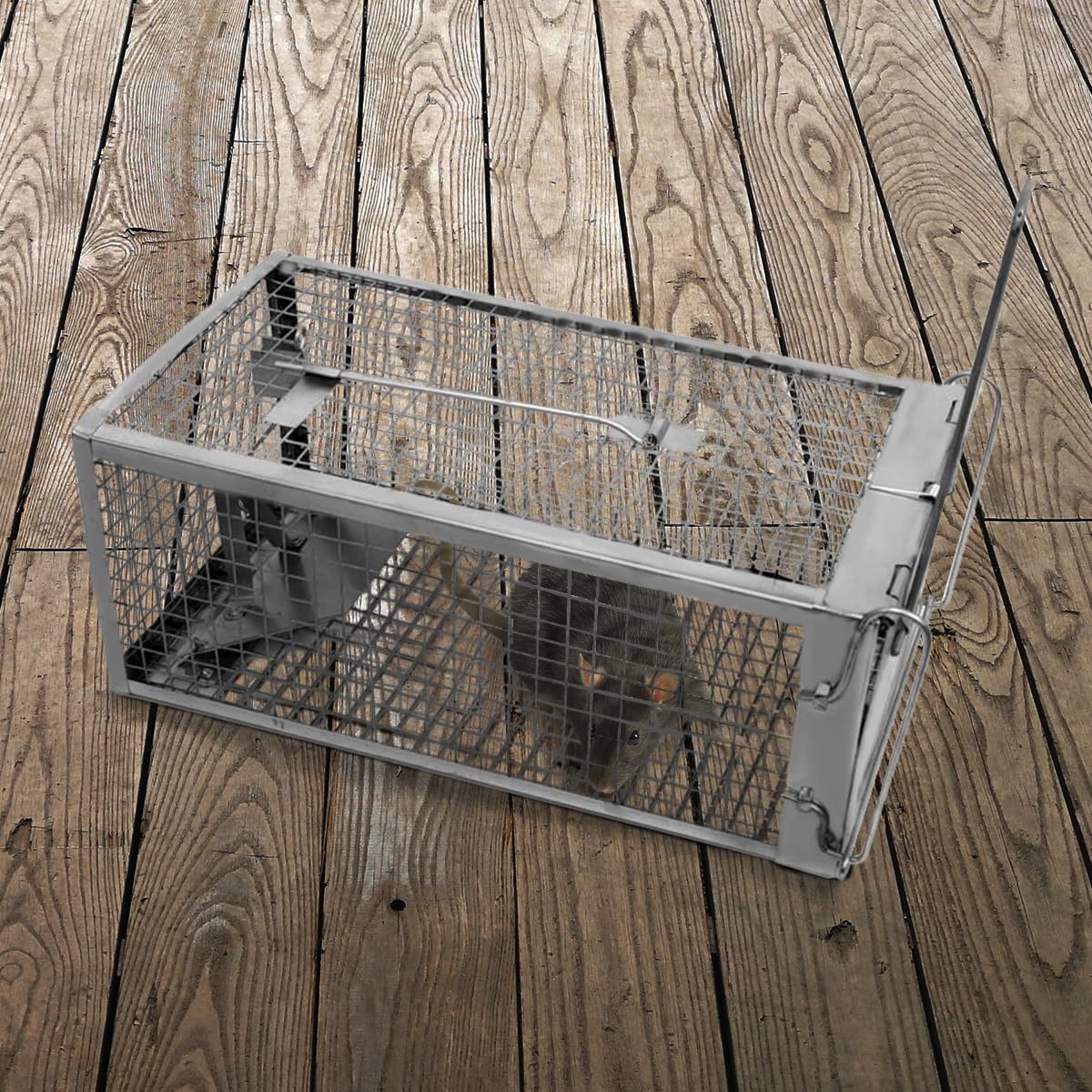 Chipmunk Trap -2 Pack, Squirell and Rat Trap Cages that Works, Humane Mouse Trap for Home | Catch and Release | Reusable and Durable | No Kill Animal Trap | for Inside Home and Outdoor Use - Image 3