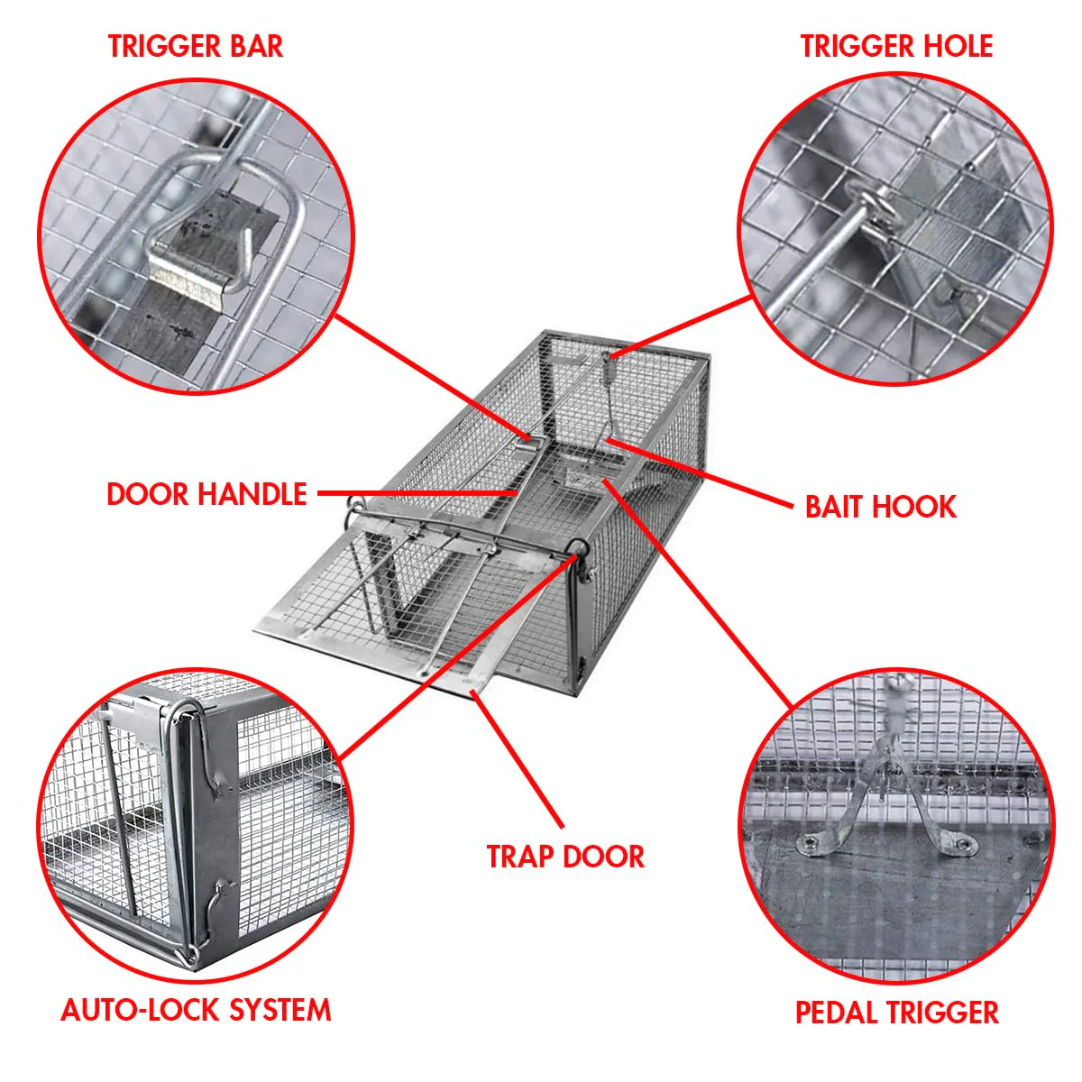 Chipmunk Trap -2 Pack, Squirell and Rat Trap Cages that Works, Humane Mouse Trap for Home | Catch and Release | Reusable and Durable | No Kill Animal Trap | for Inside Home and Outdoor Use - Image 6