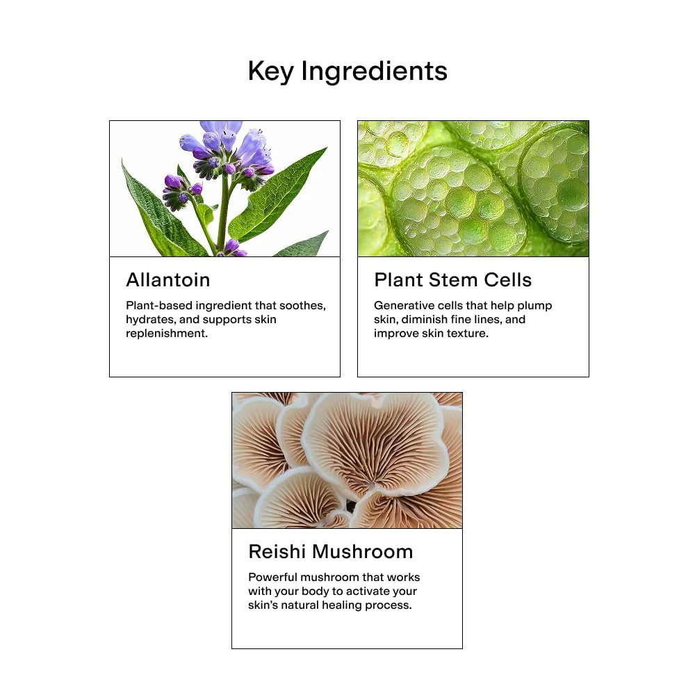 CLEARSTEM - CELLRENEW - Collagen Stem Cell Serum - Acne + Youthful Skin Face Serum - Hyaluronic Acid, Reishi, Aloe Vera - Facial Skin Care Products - Gluten Free, Cruelty Free - 1 fl oz / 29ml - Image 5