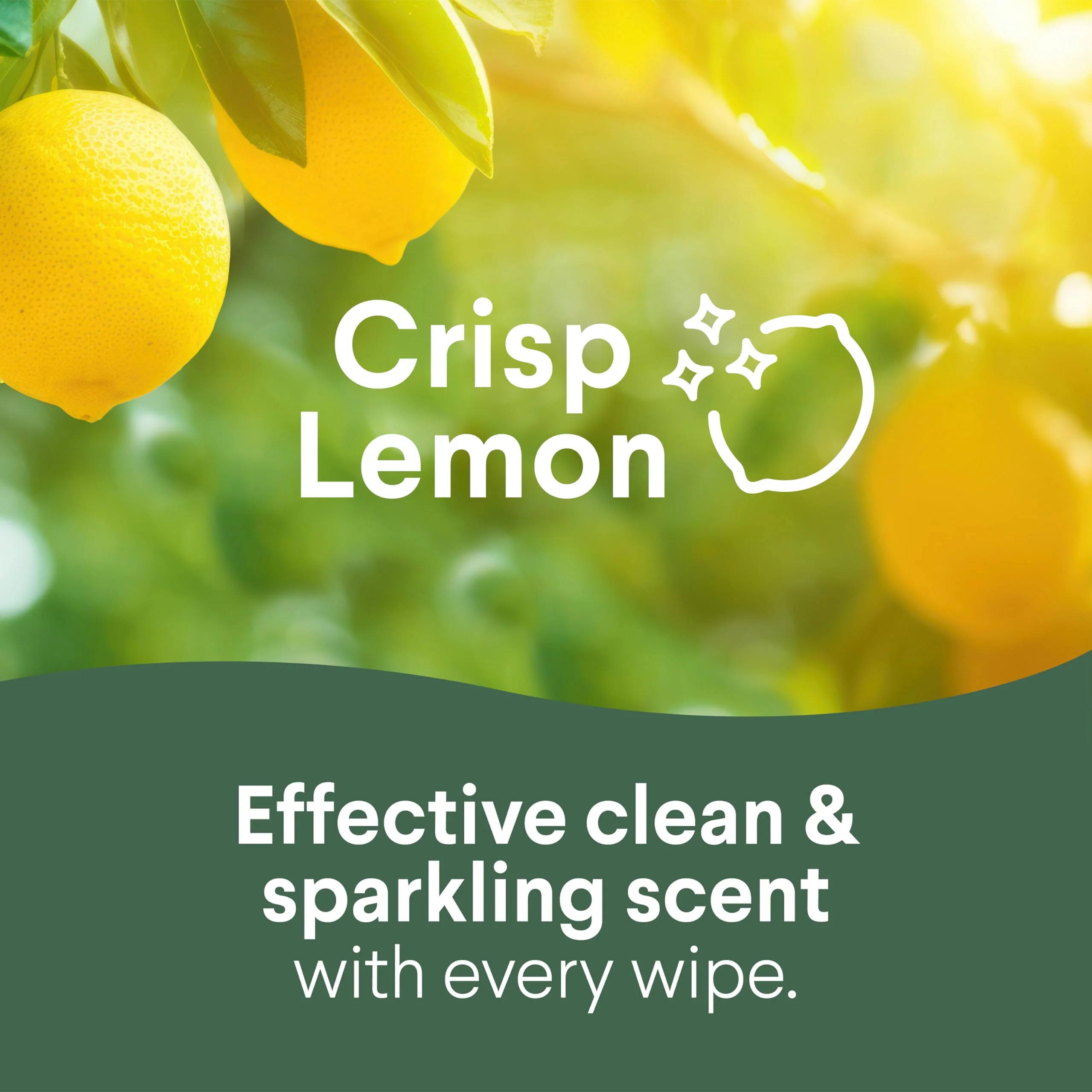 Clorox Disinfecting Cleaning Wipes, Bleach Free, Crisp Lemon, Fresh Scent, Scentiva Coconut and Waterlily, 75 Count Each (Package May Vary) - Image 4