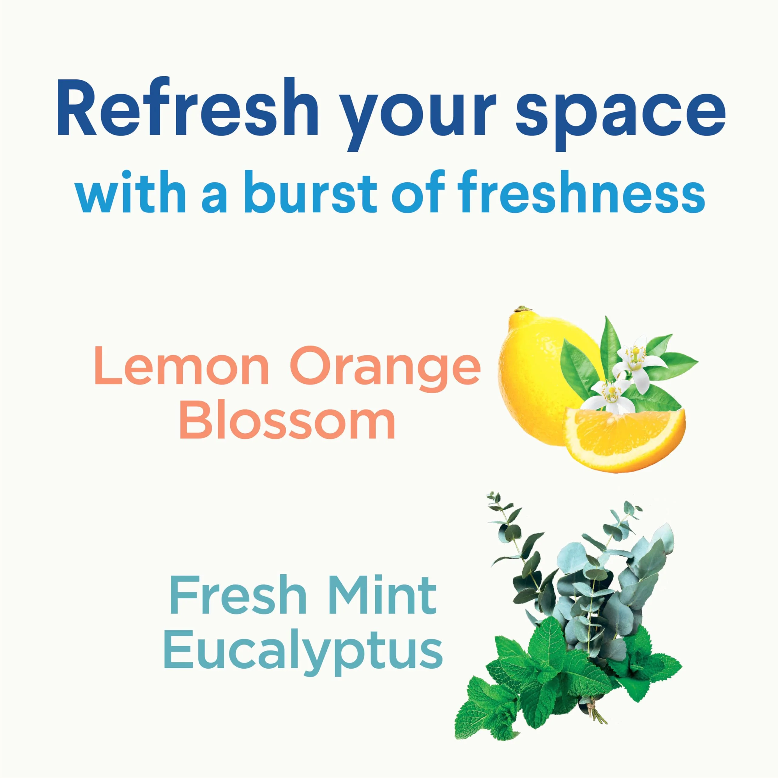 Clorox Disinfecting Mist, Lemon and Orange Blossom, 1 Spray and 1 Refill, 16 oz Each - Image 13