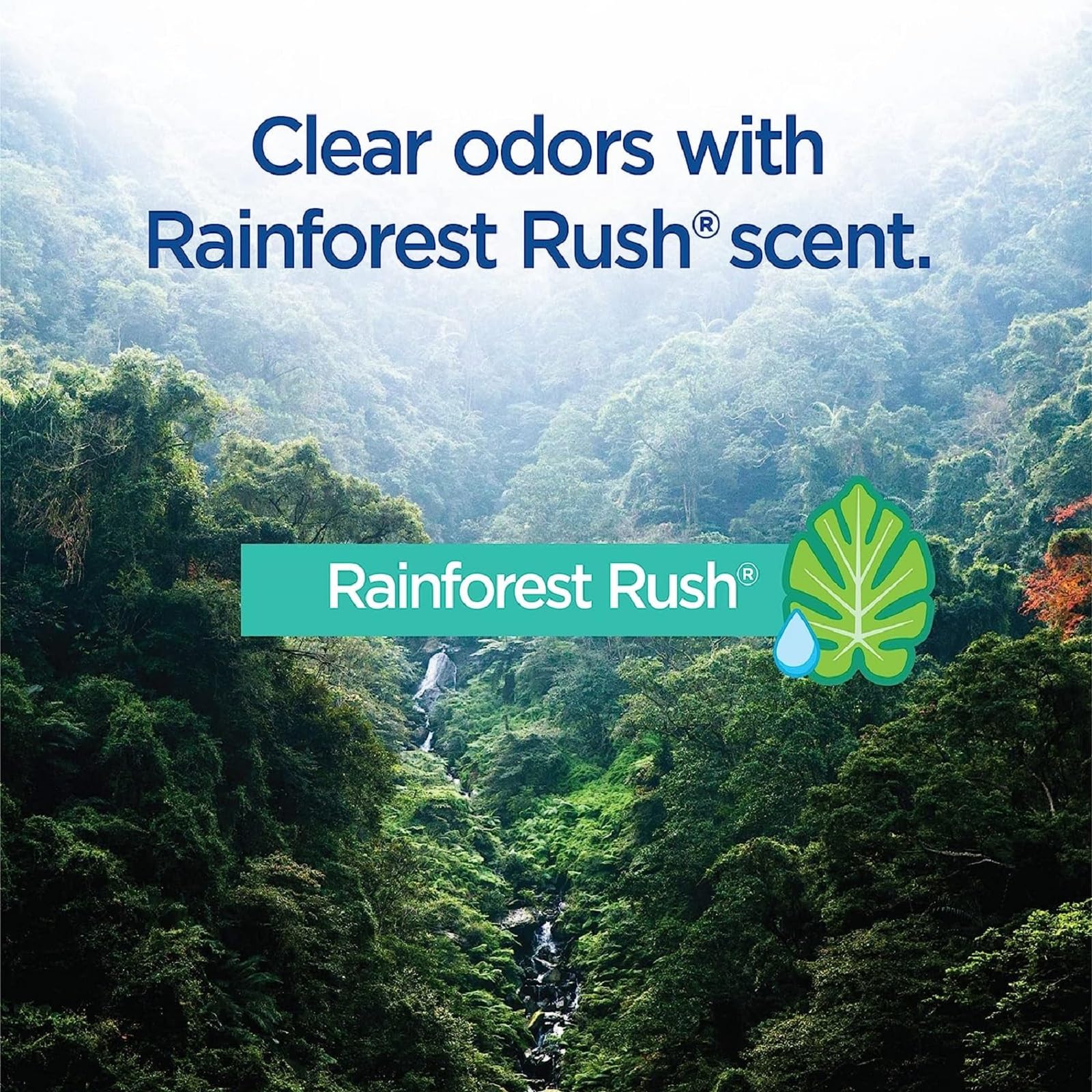 Clorox ToiletWand Toilet Cleaner Refills, Toilet brush, Rainforest Rush, 30 Ct - Image 5