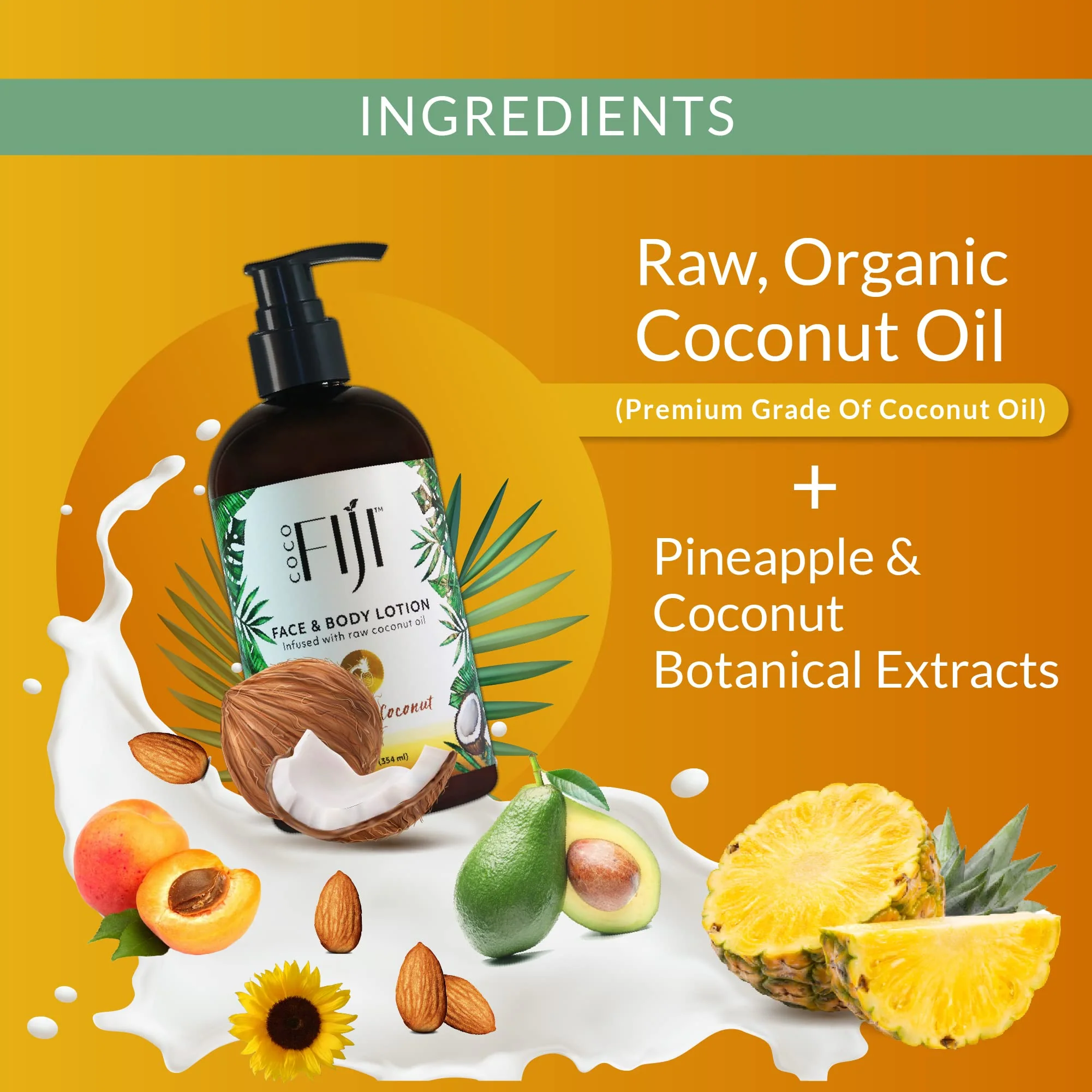 Coco Fiji Face & Body Lotion Infused With Coconut Oil | Lotion for Dry Skin | Moisturizer Face Cream & Massage Lotion for Women & Men | Pineapple Coconut 12 oz, Pack of 1 - Image 3